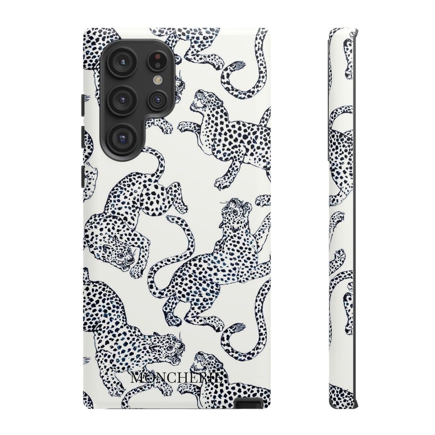 Scattered Cheetahs