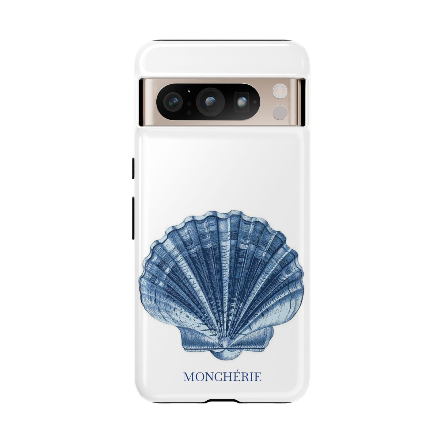 Sea Shell