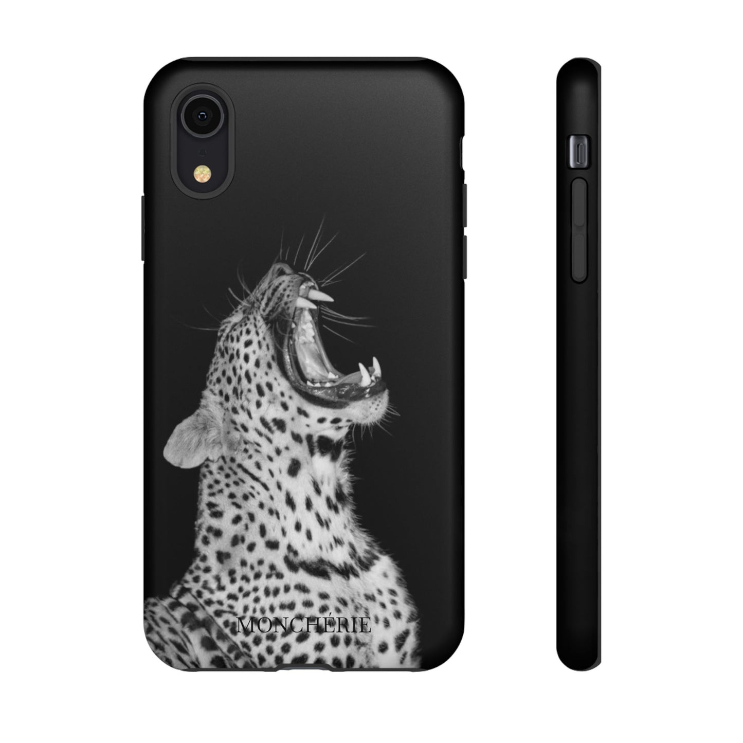 A icons case
