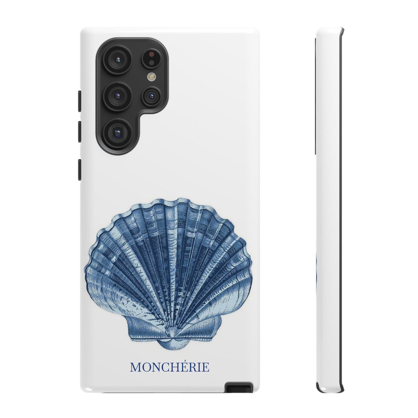 Sea Shell