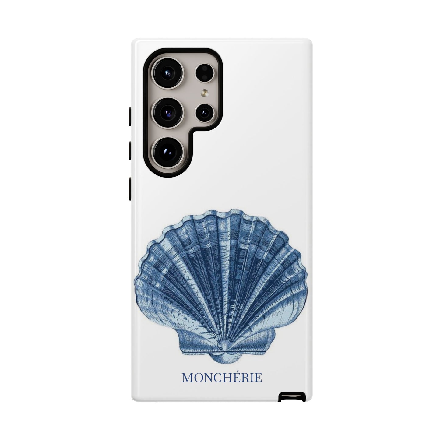 Sea Shell