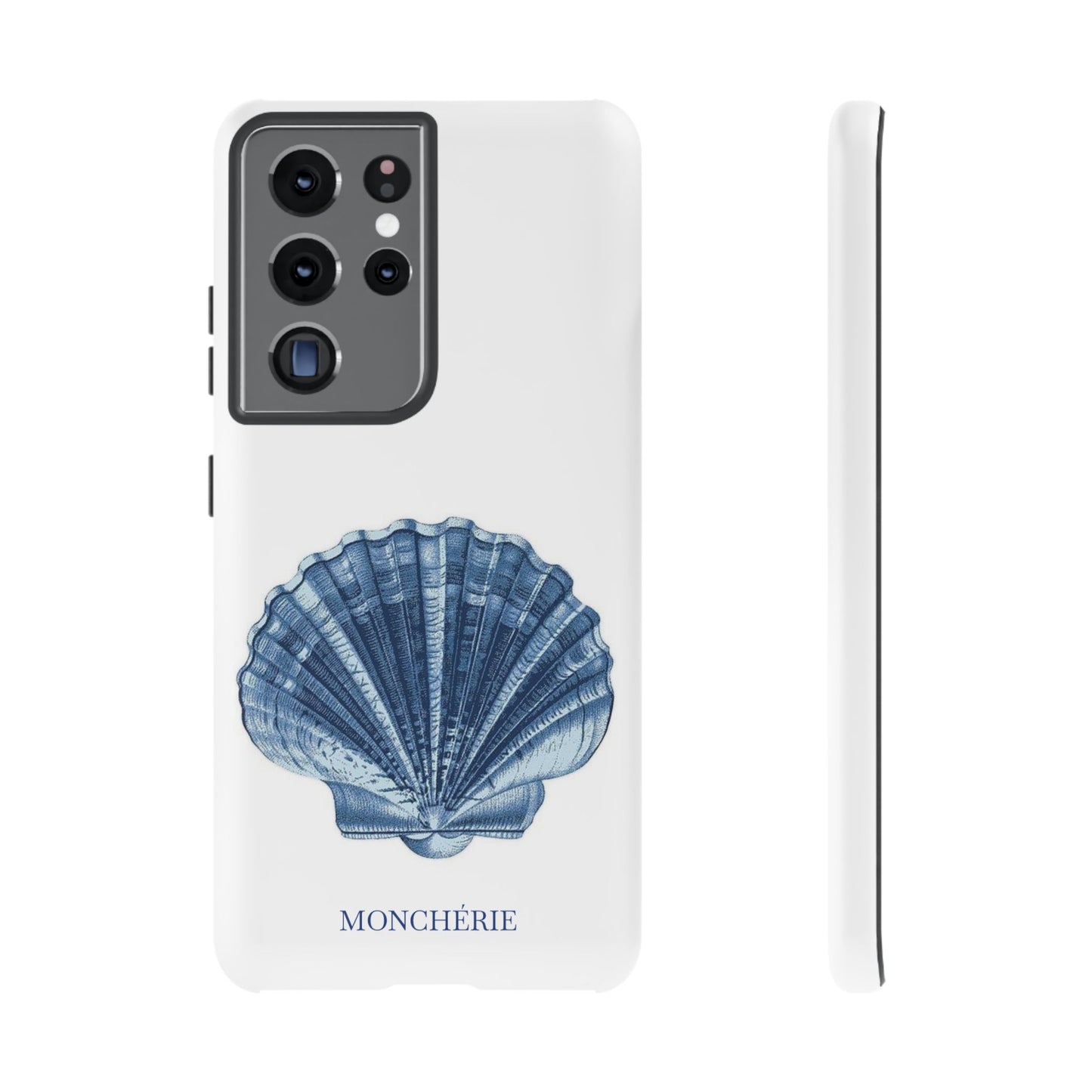 Sea Shell