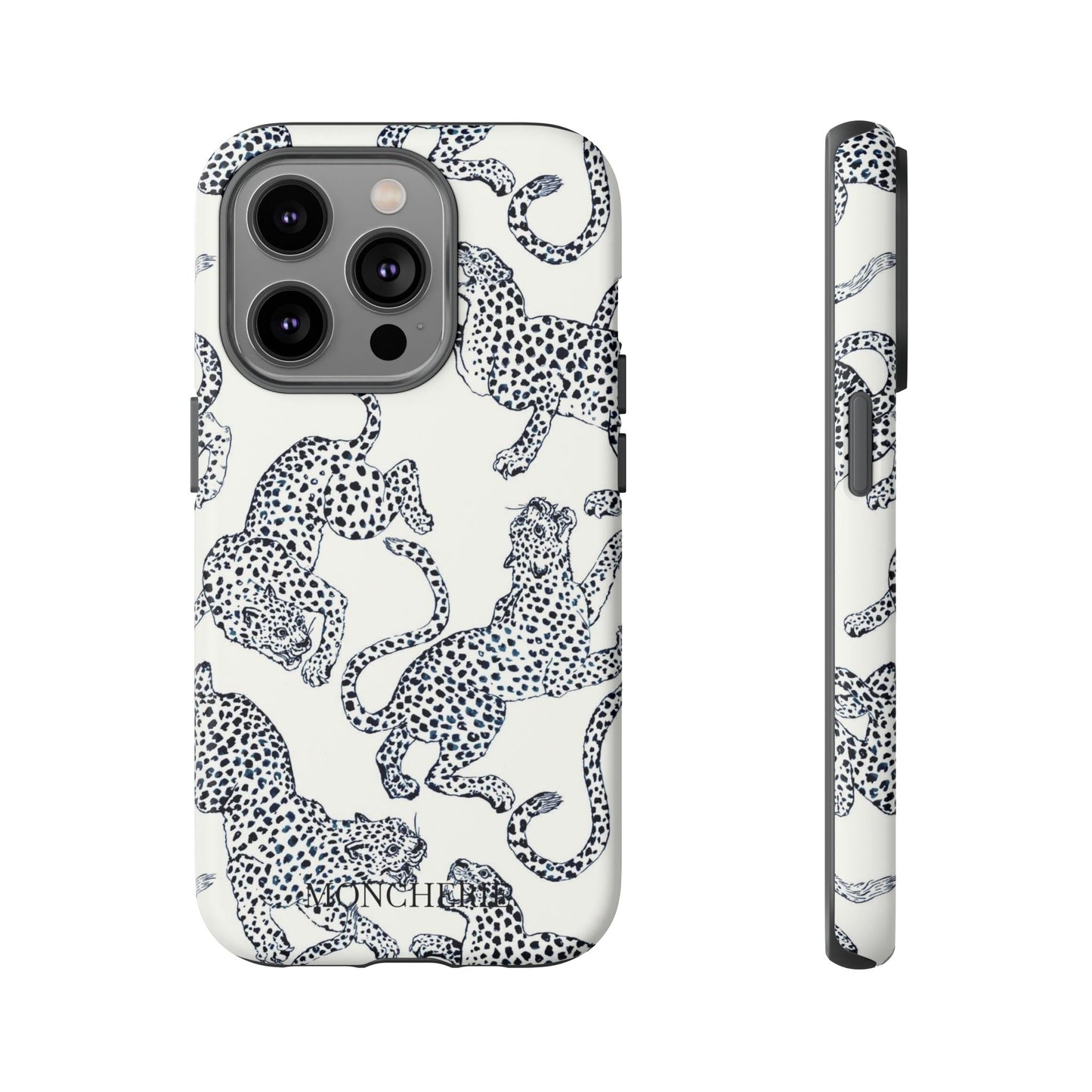 Scattered Cheetahs