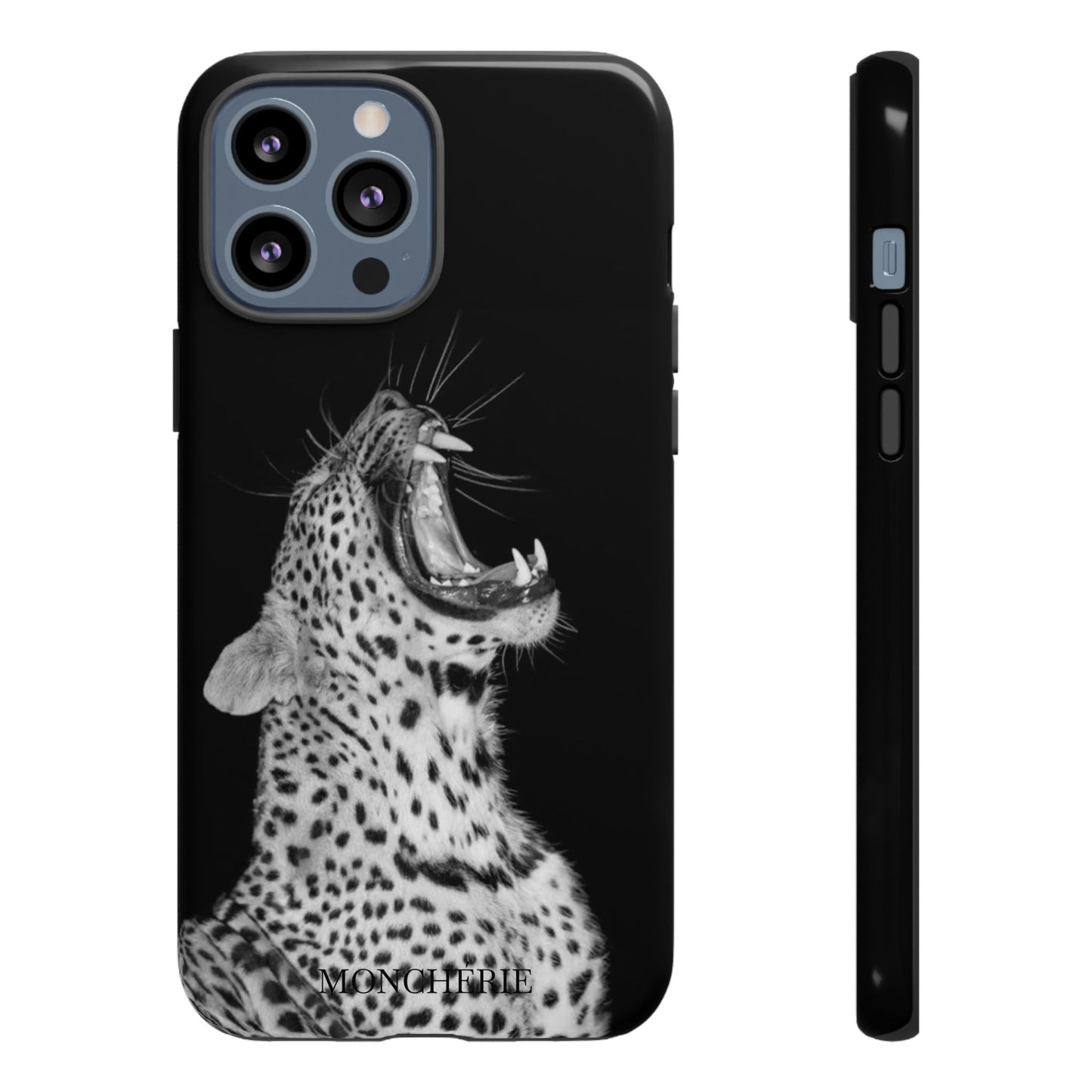 A icons case