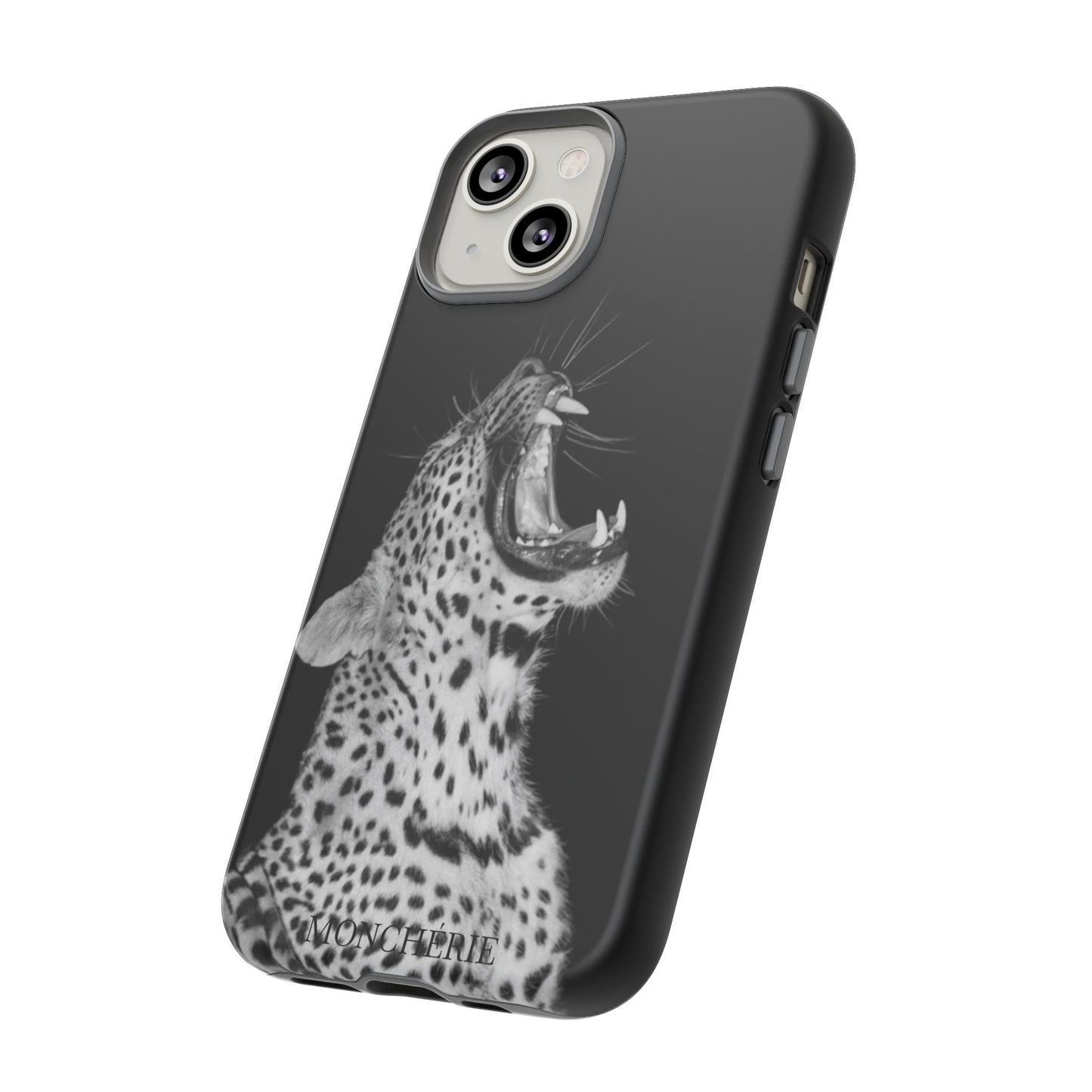 A icons case