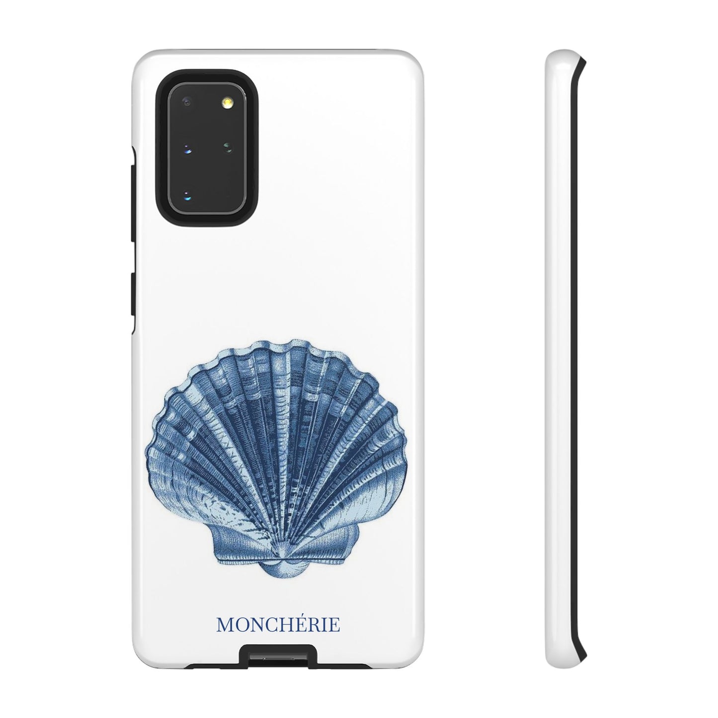 Sea Shell