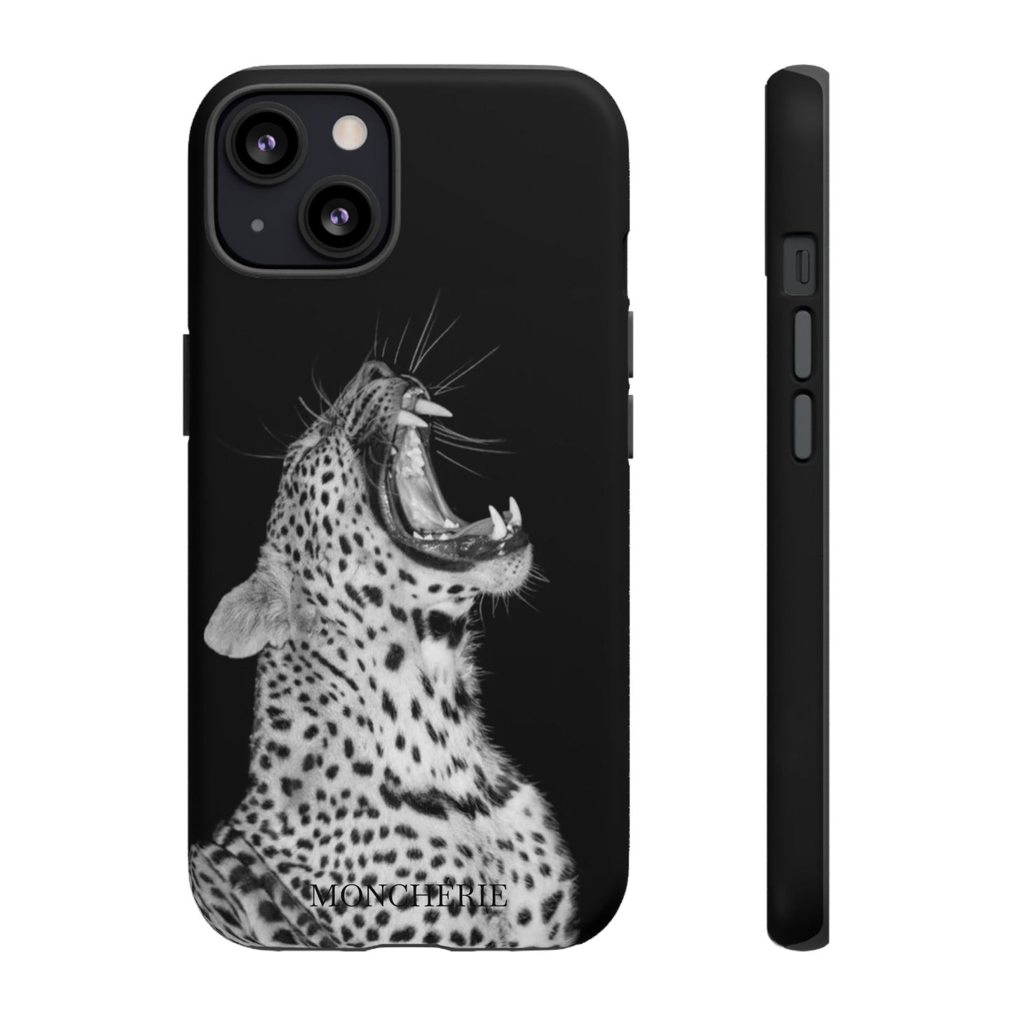 A icons case