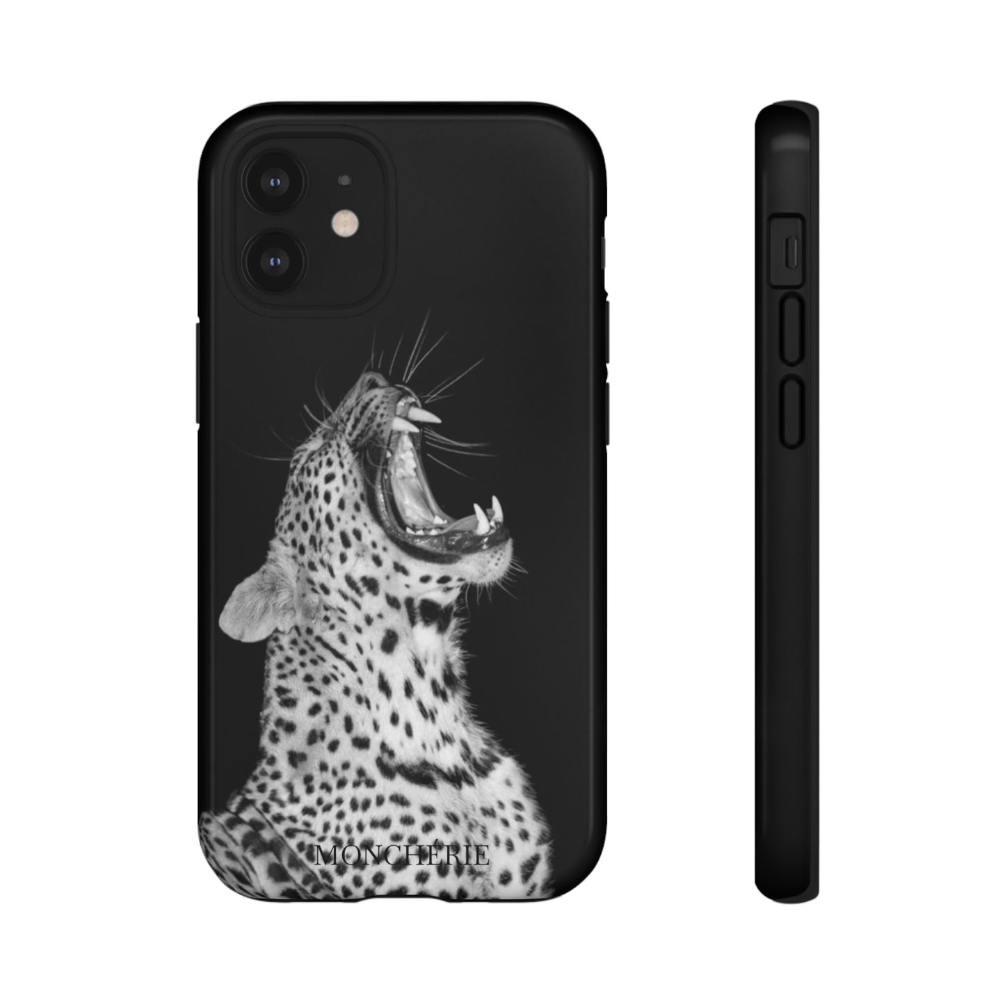 A icons case