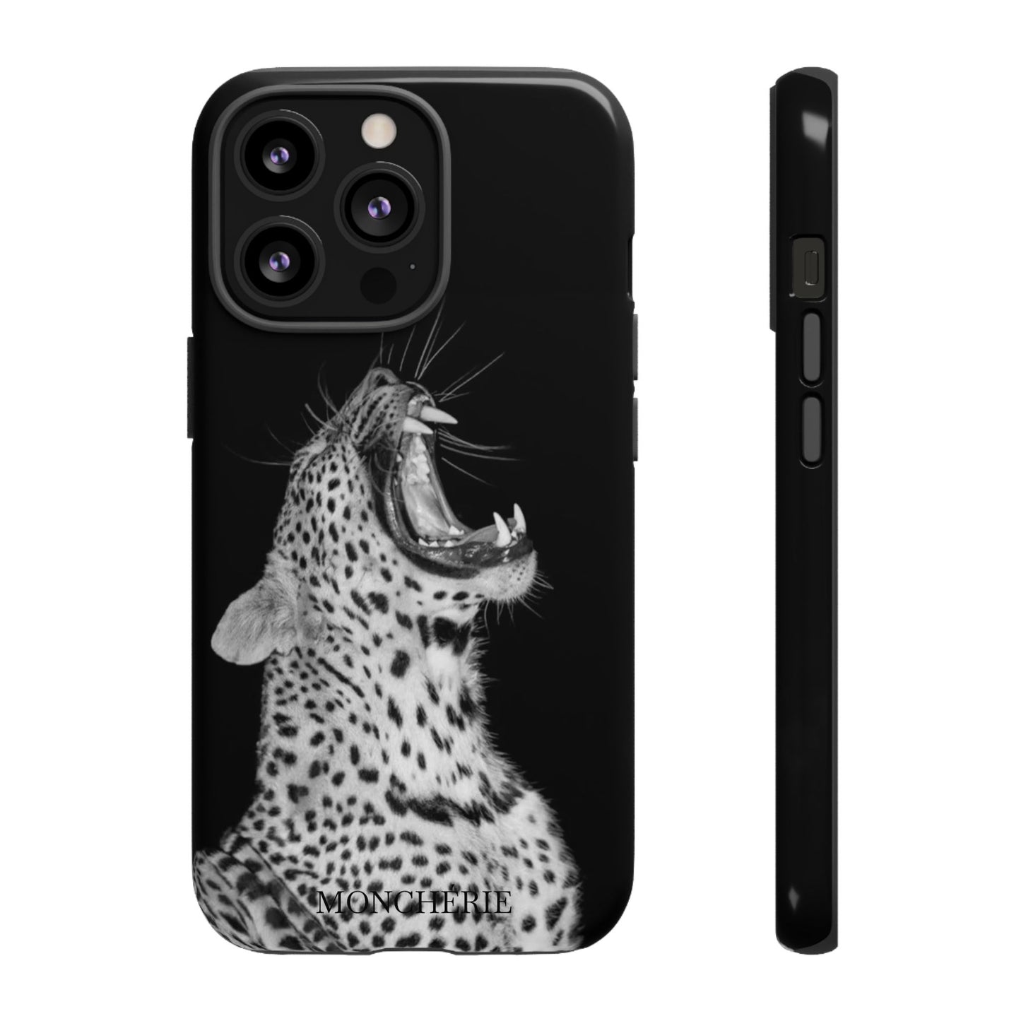 A icons case