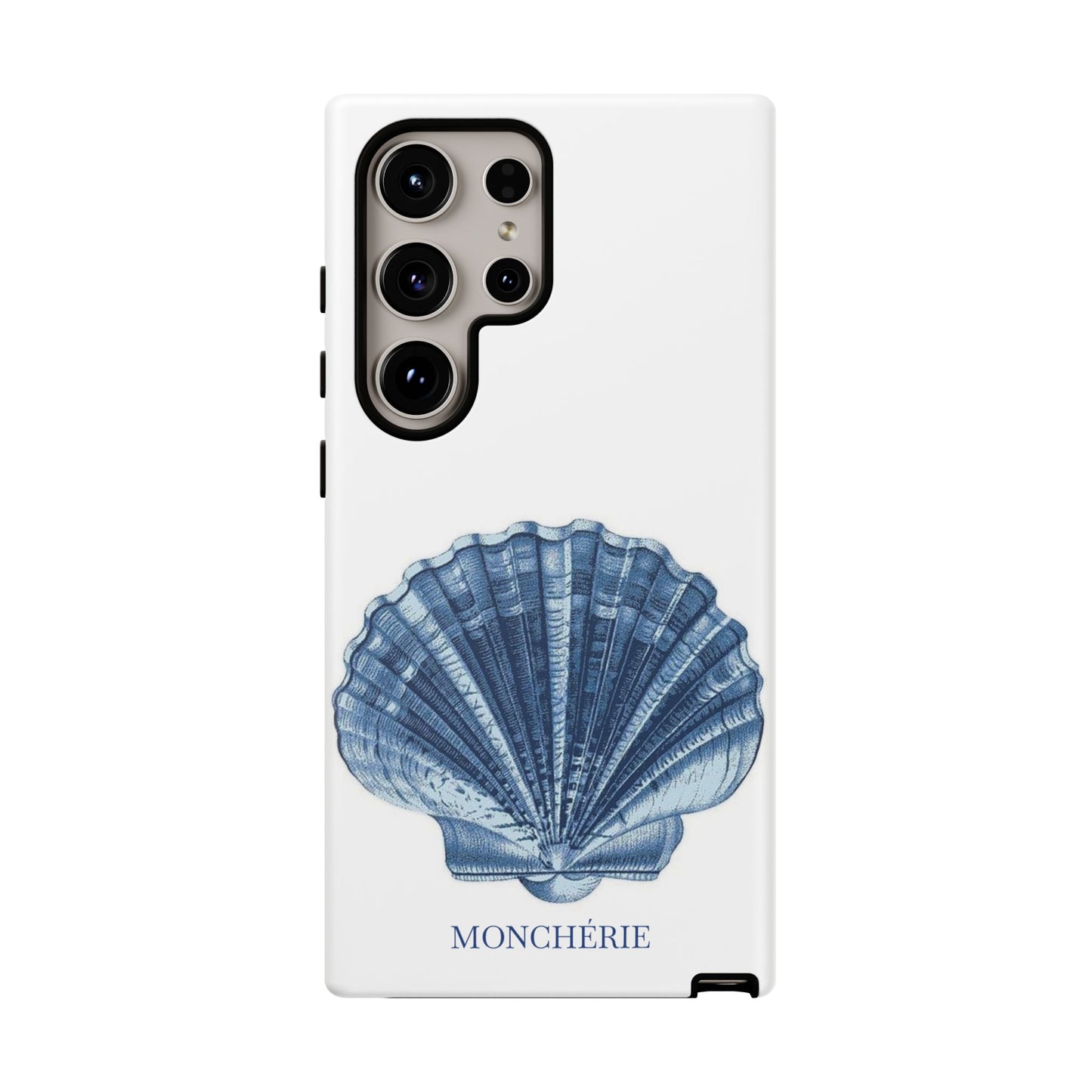 Sea Shell