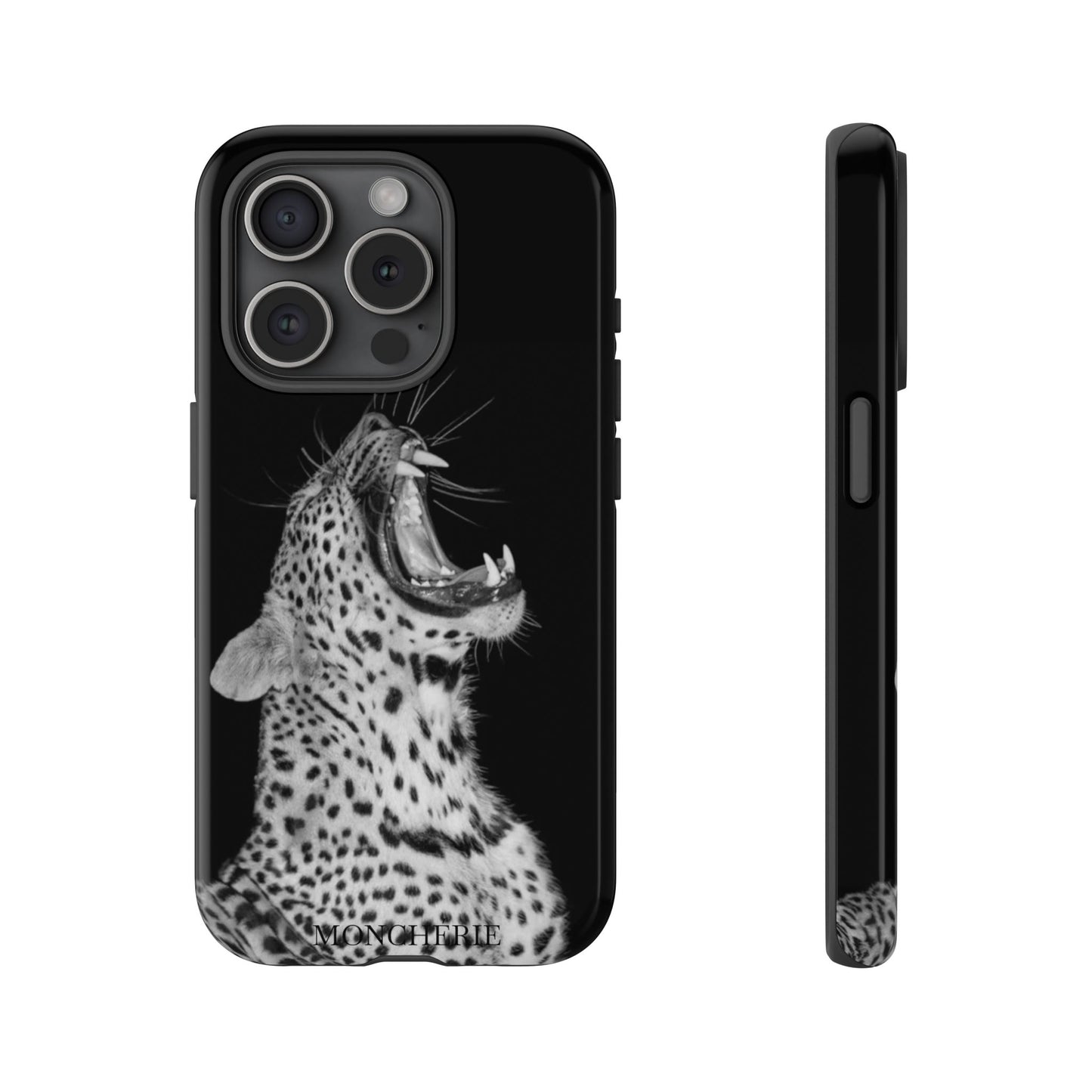A icons case