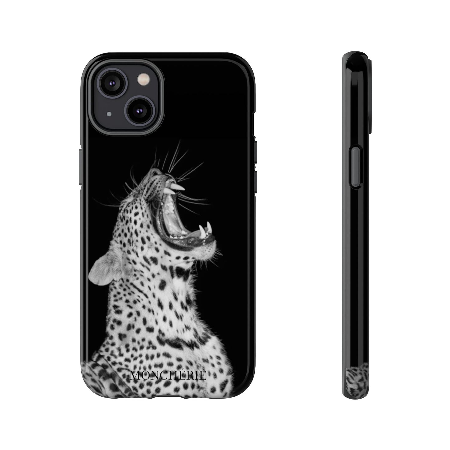 A icons case
