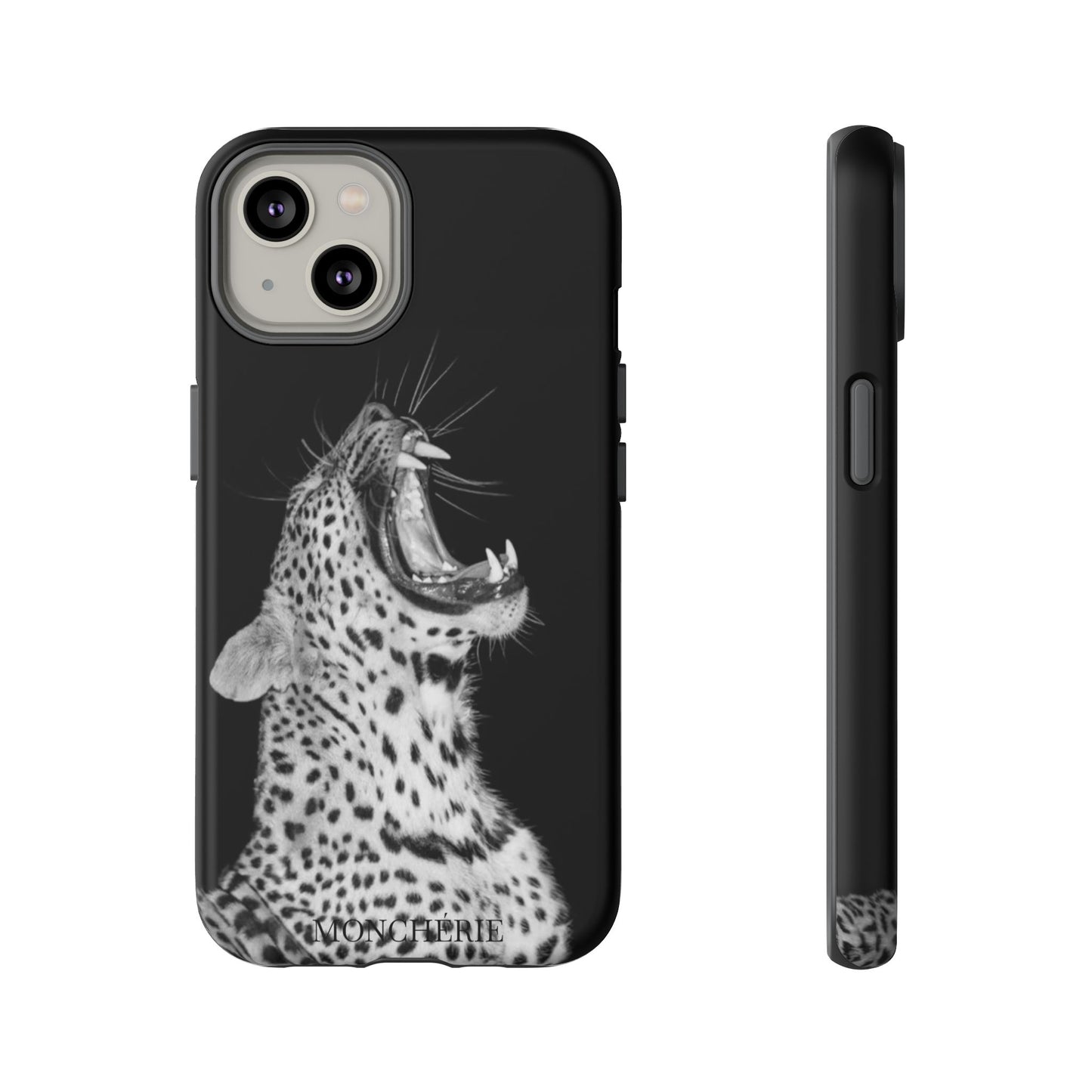 A icons case