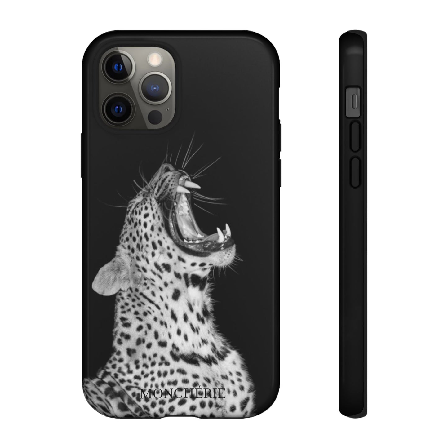 A icons case