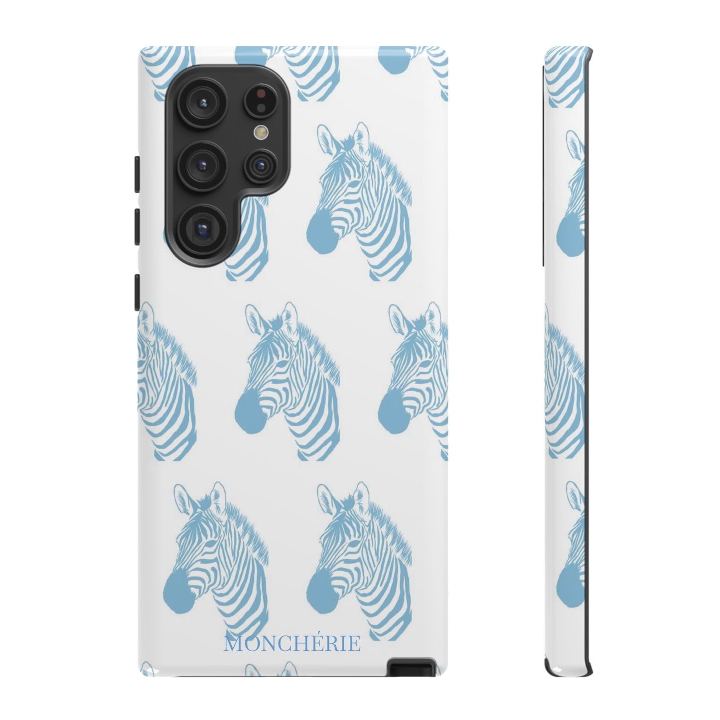 Zebra time