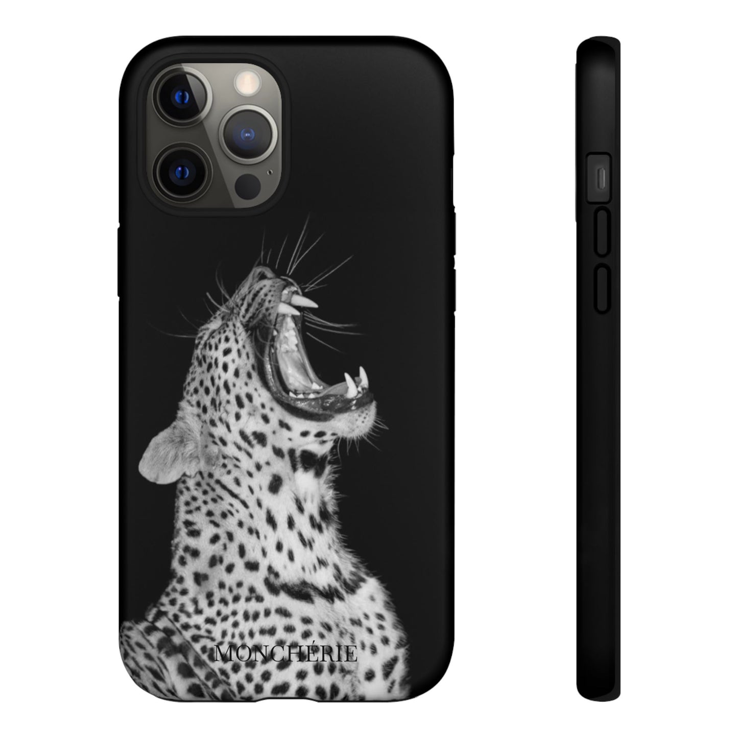 A icons case