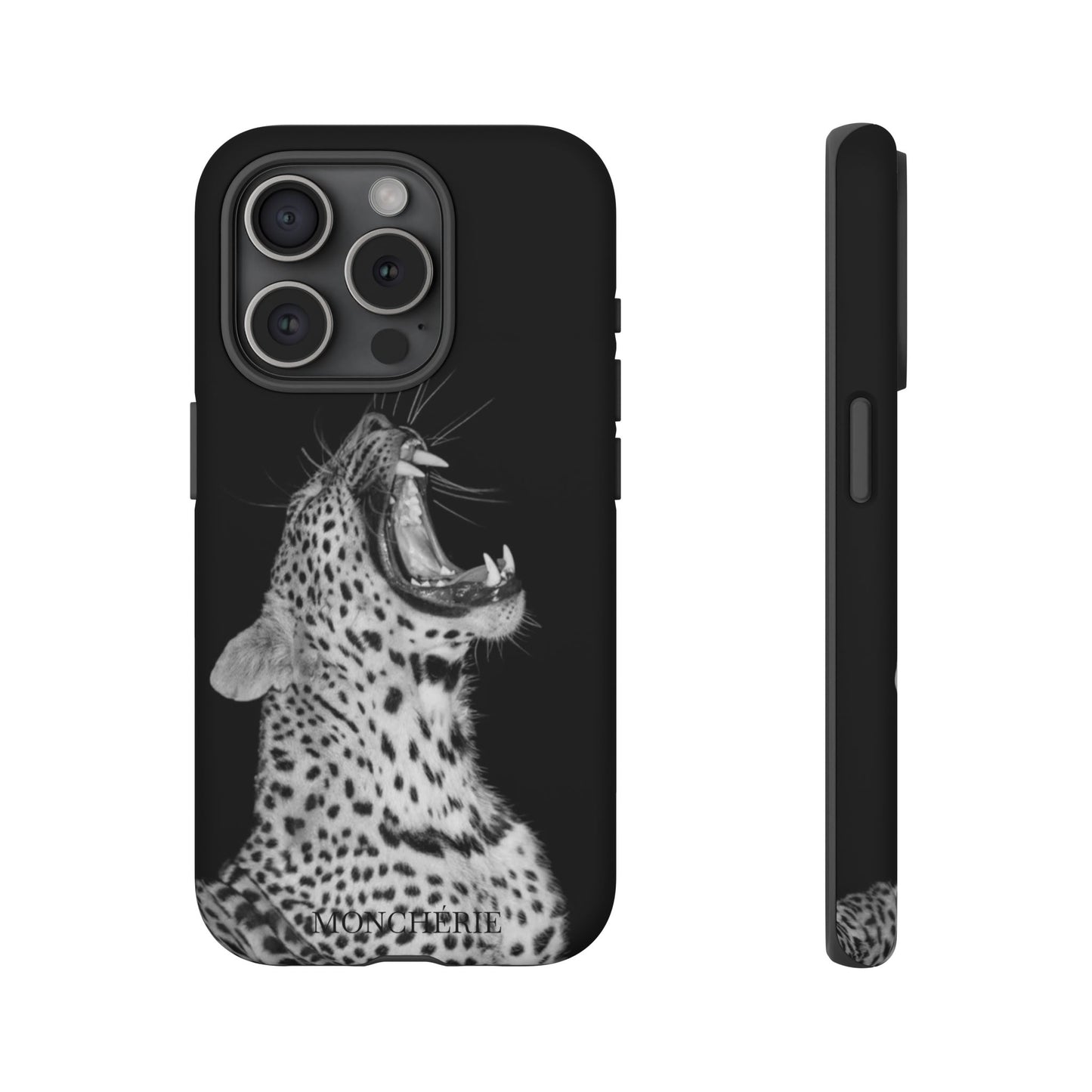 A icons case