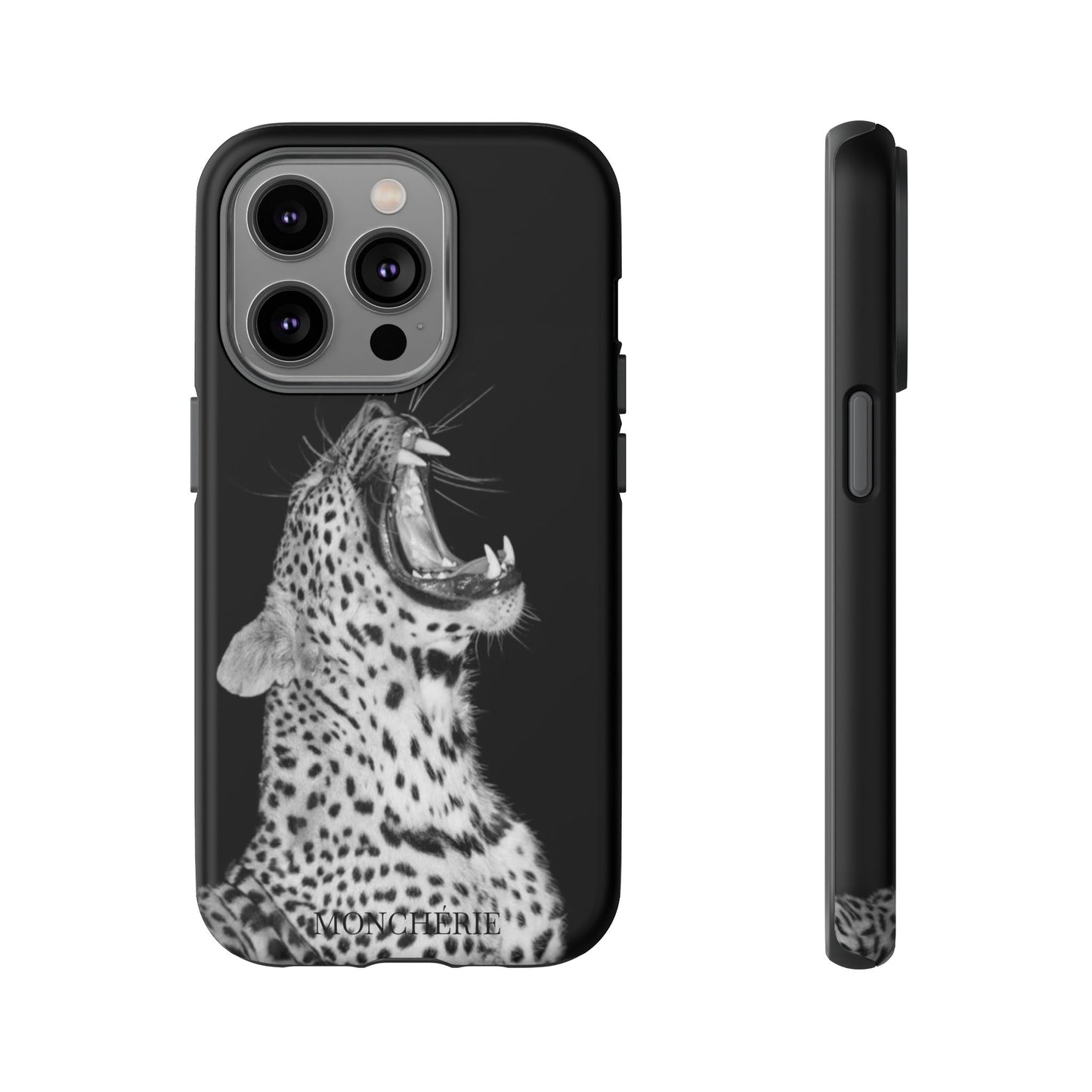 A icons case