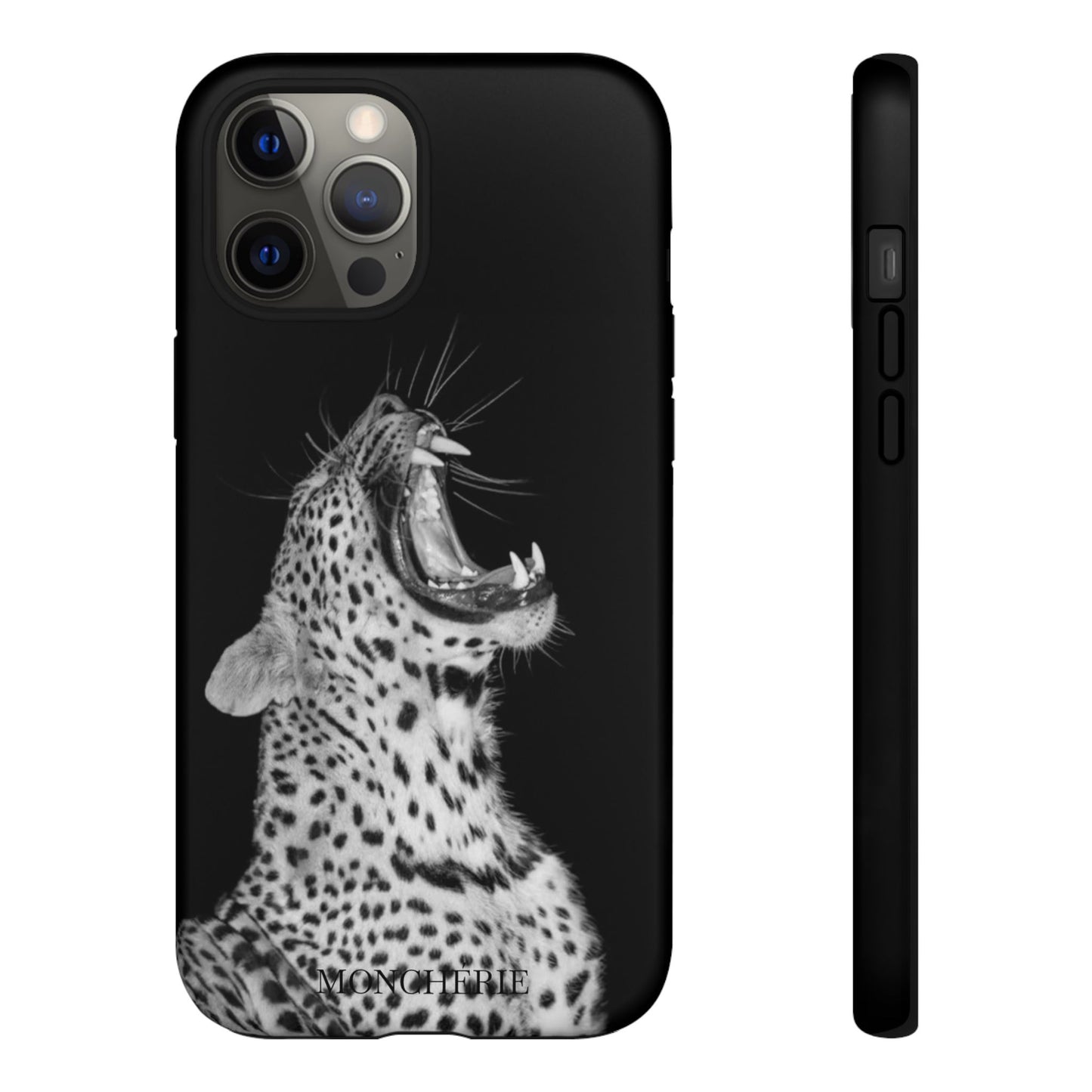 A icons case