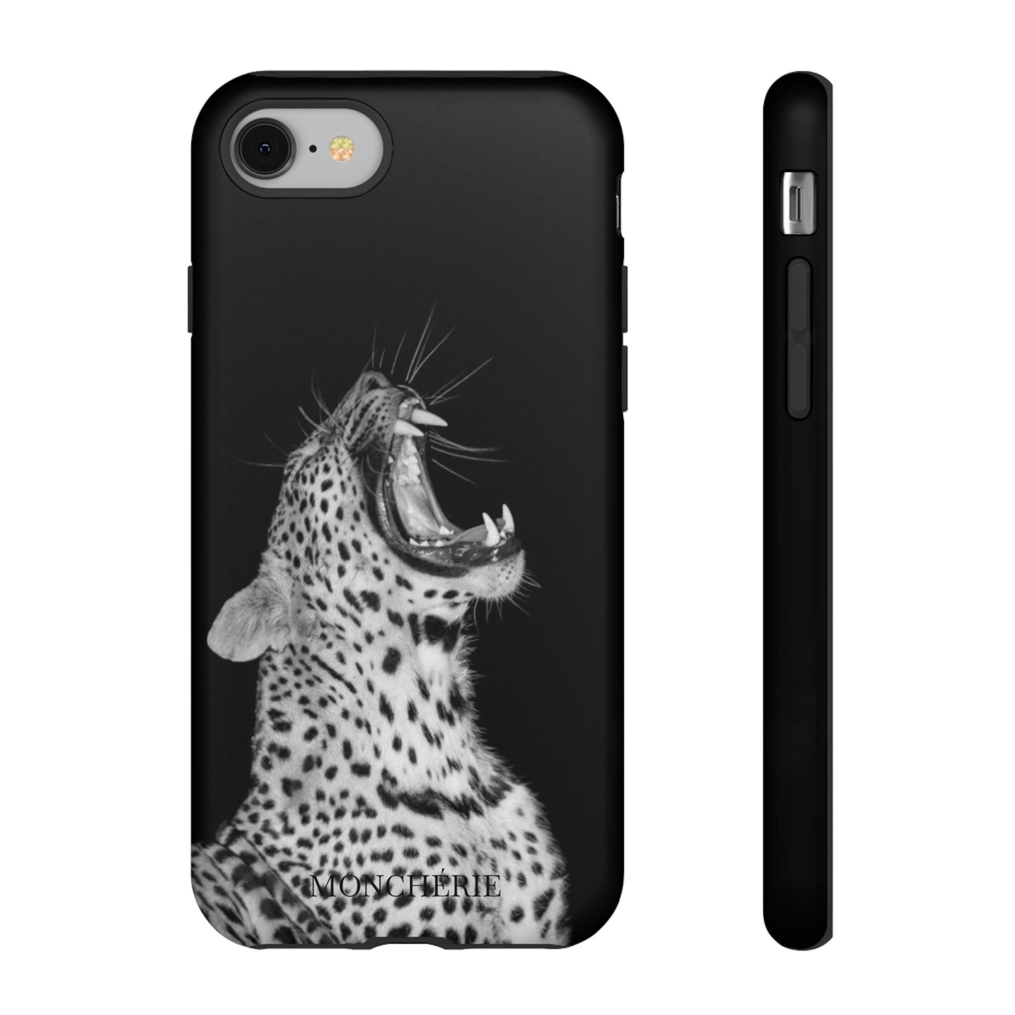 A icons case