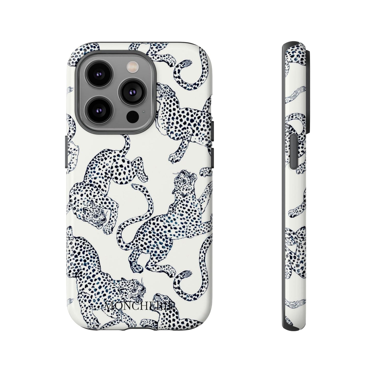 Scattered Cheetahs