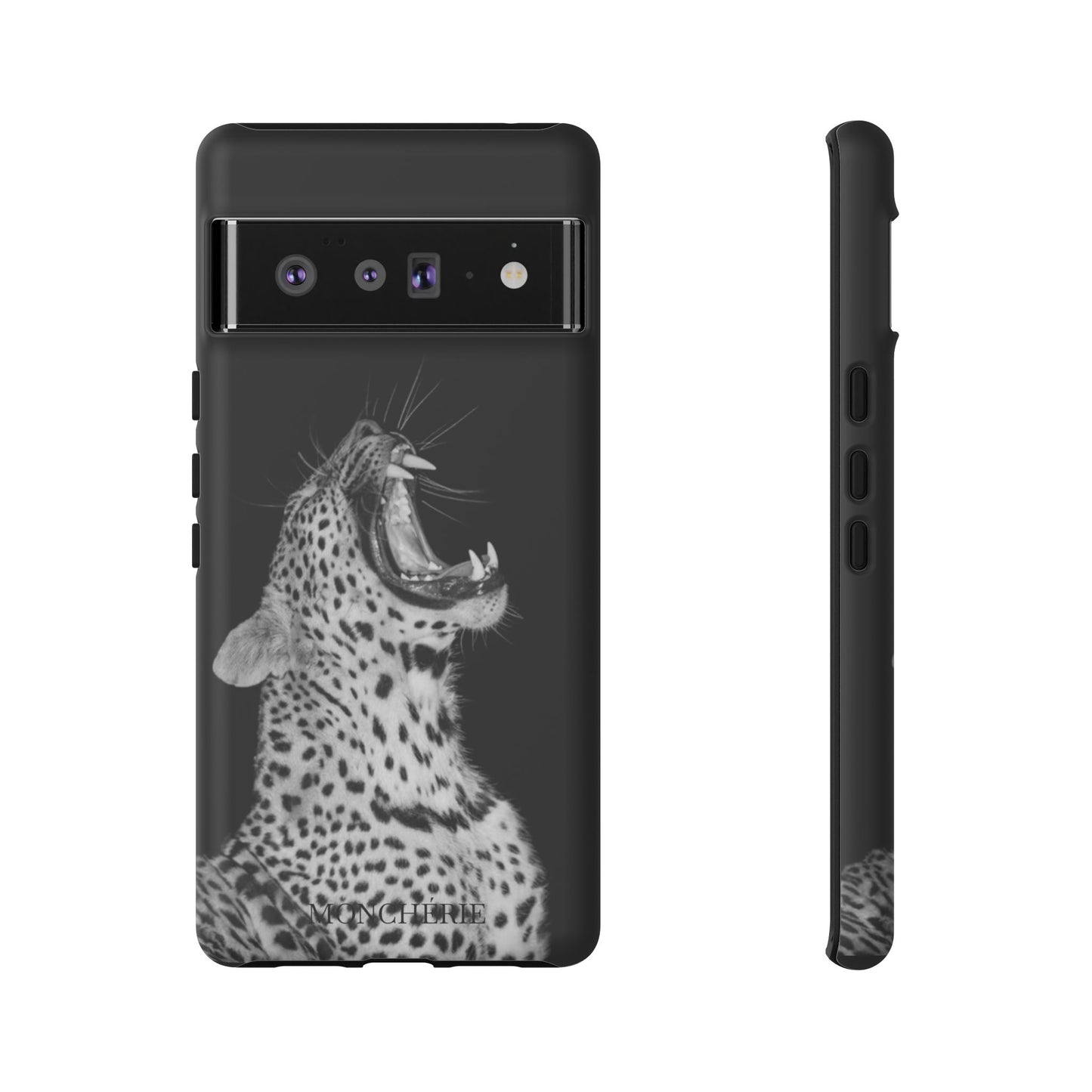 A icons case