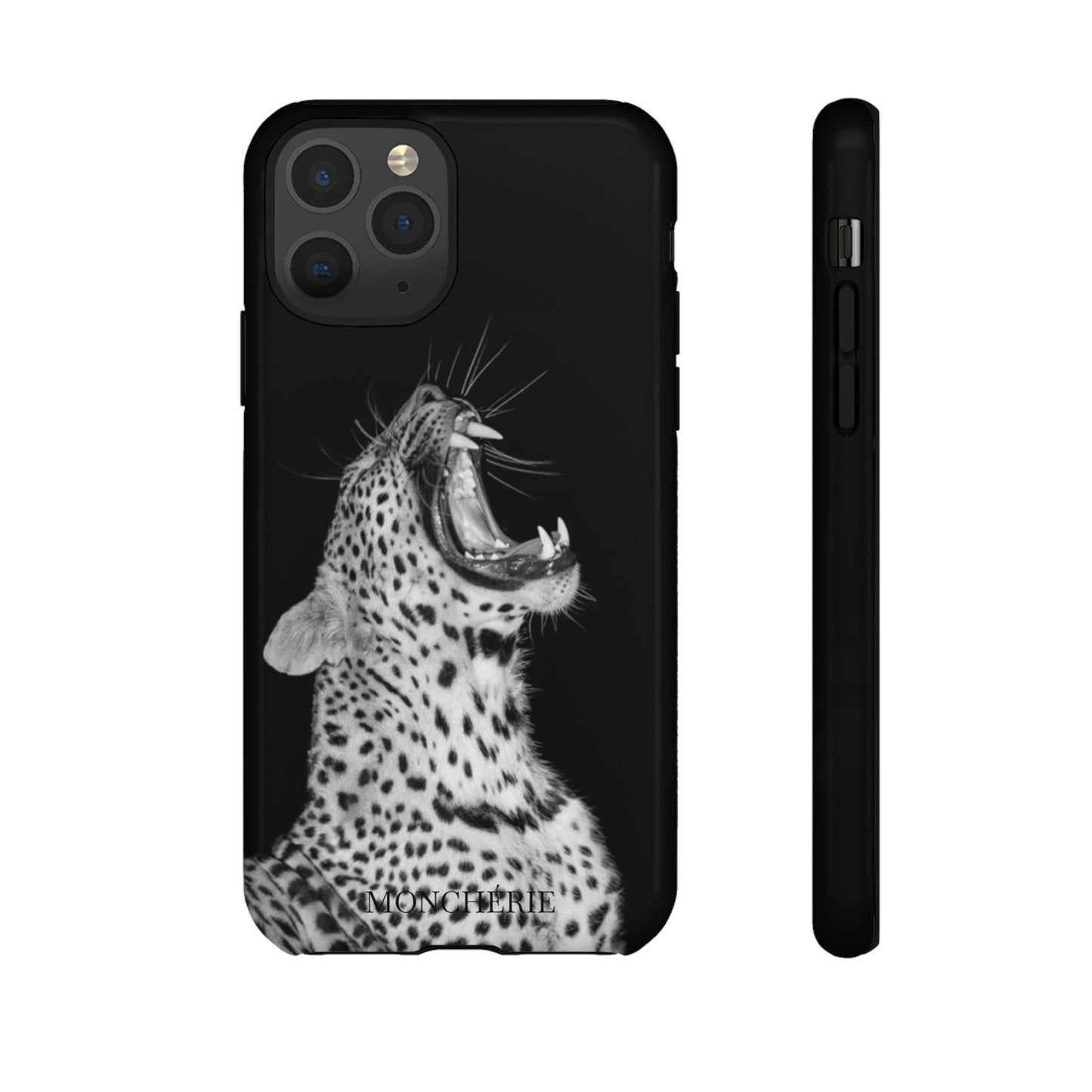 A icons case