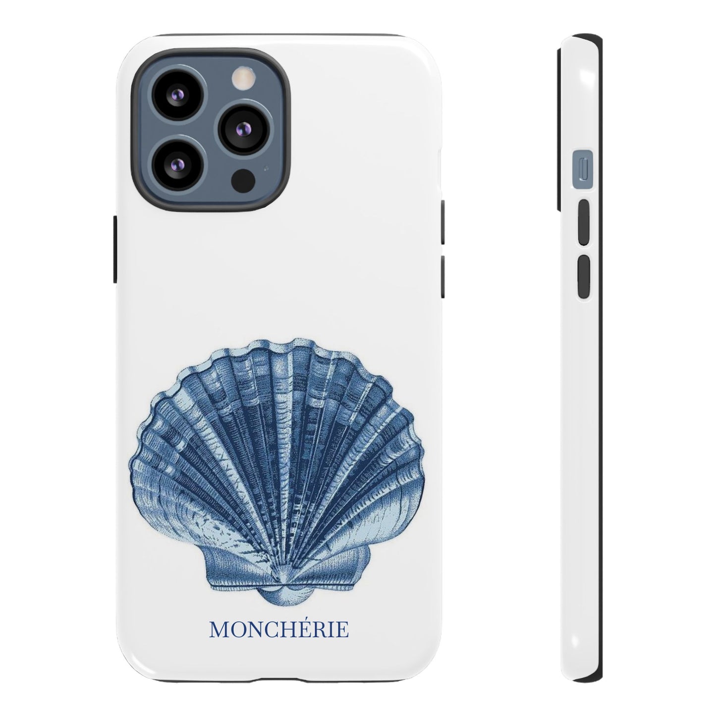 Sea Shell