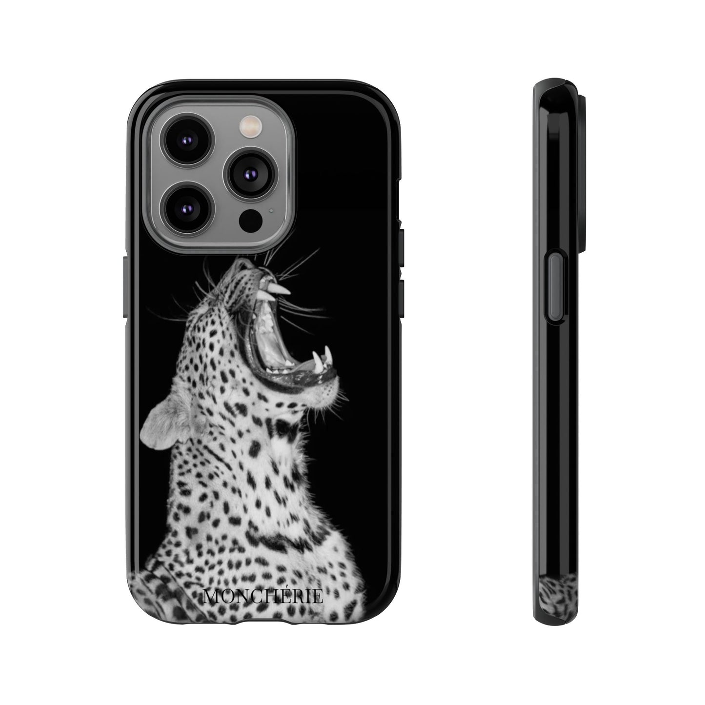 A icons case