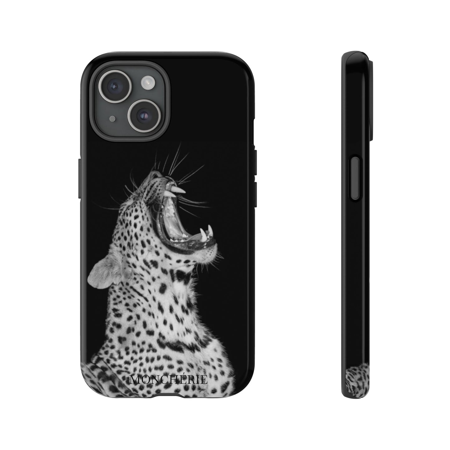 A icons case