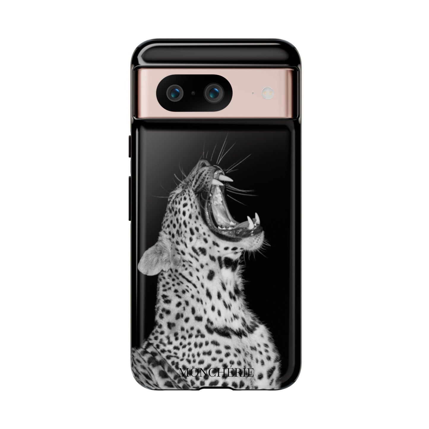 A icons case