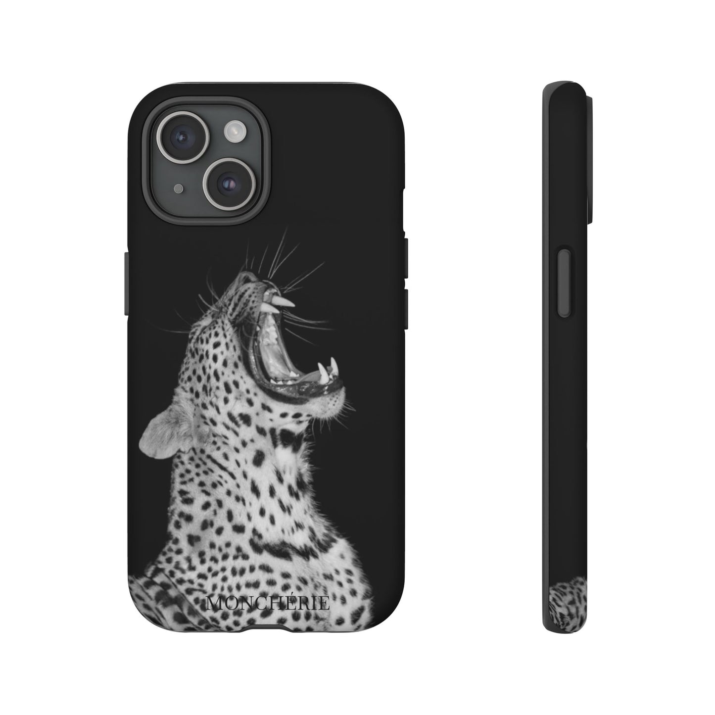 A icons case