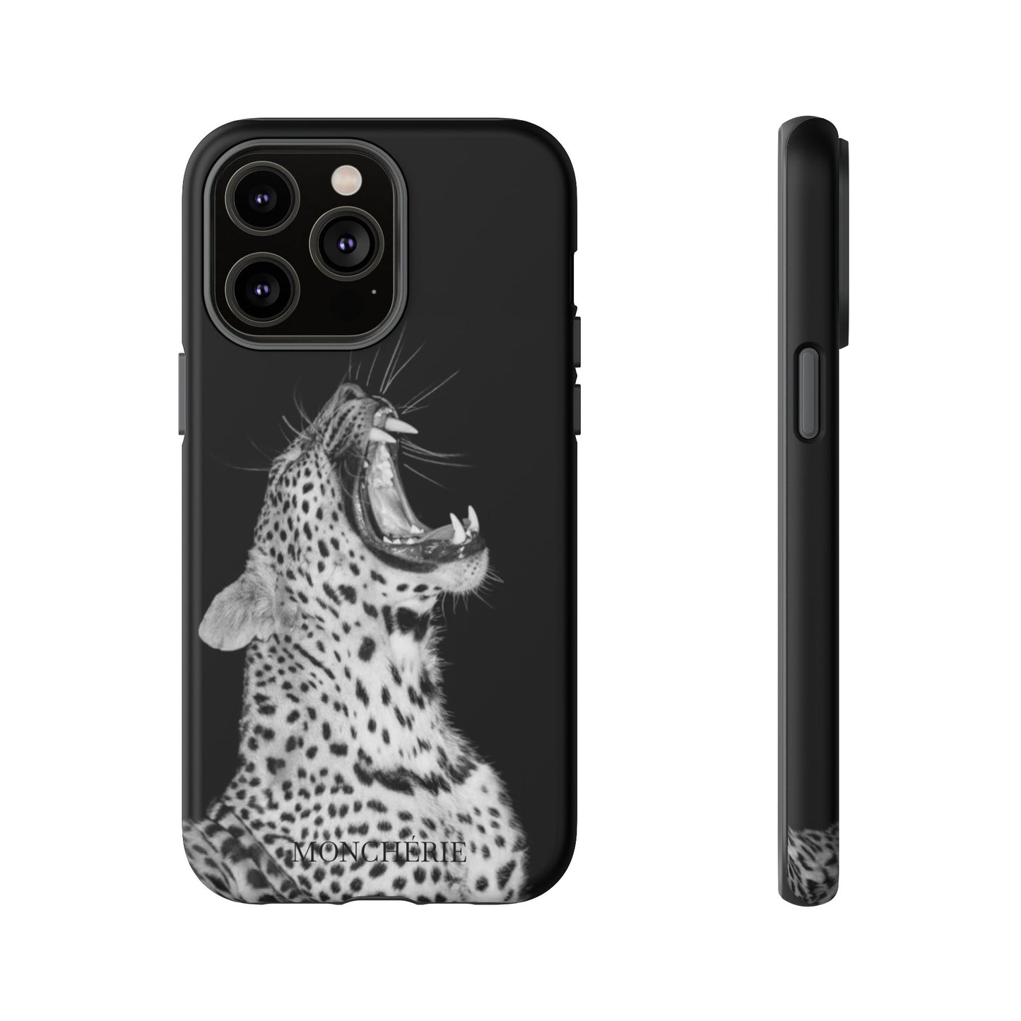 A icons case