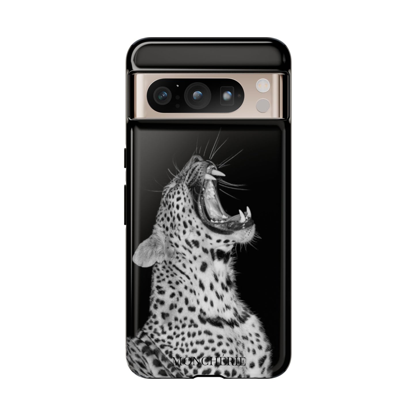 A icons case