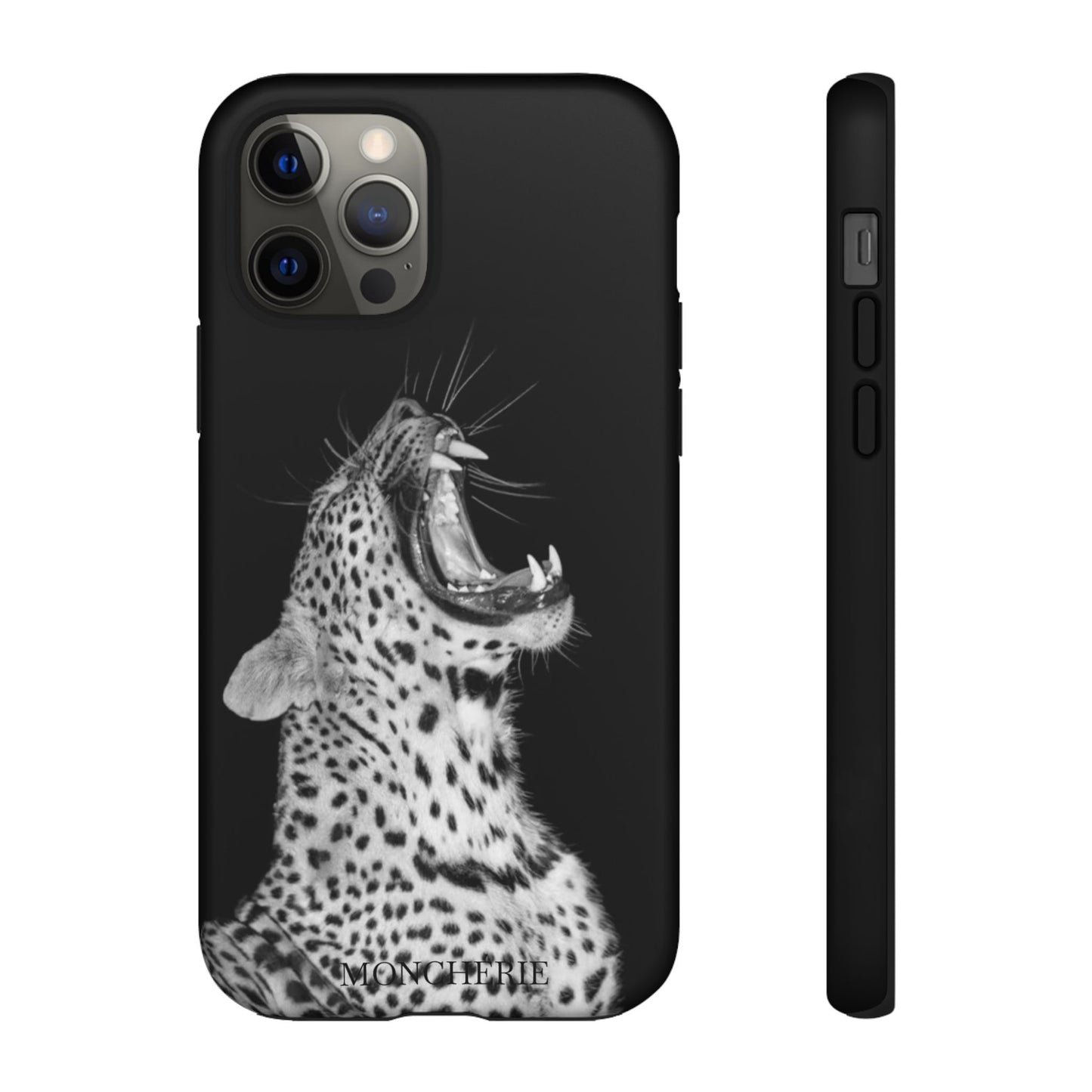 A icons case
