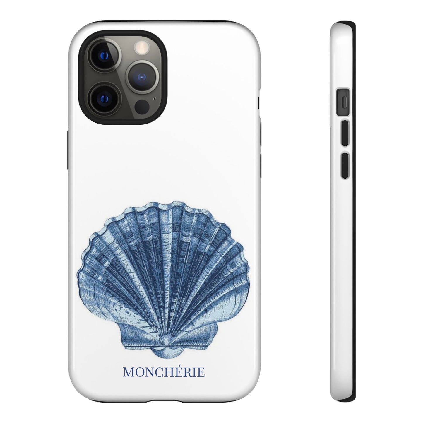 Sea Shell