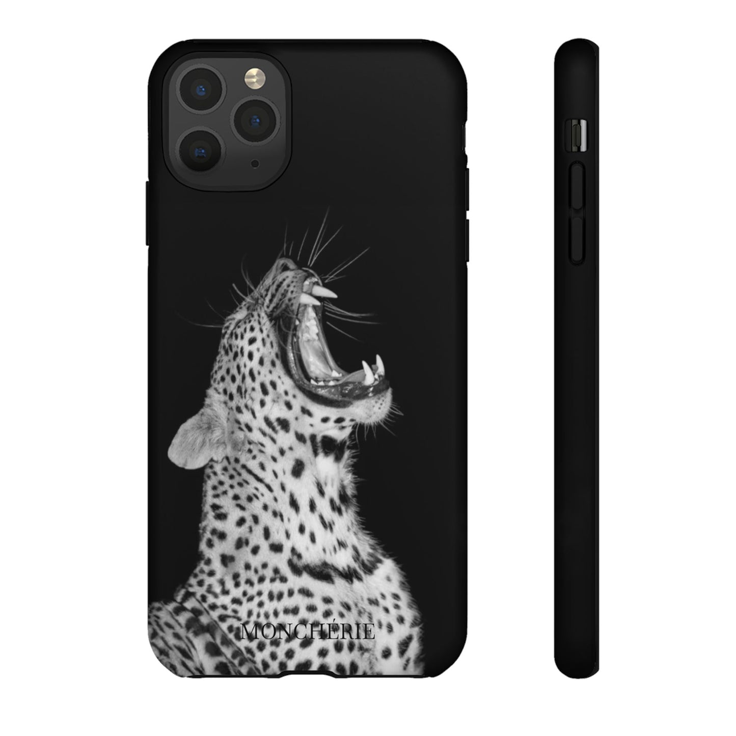 A icons case