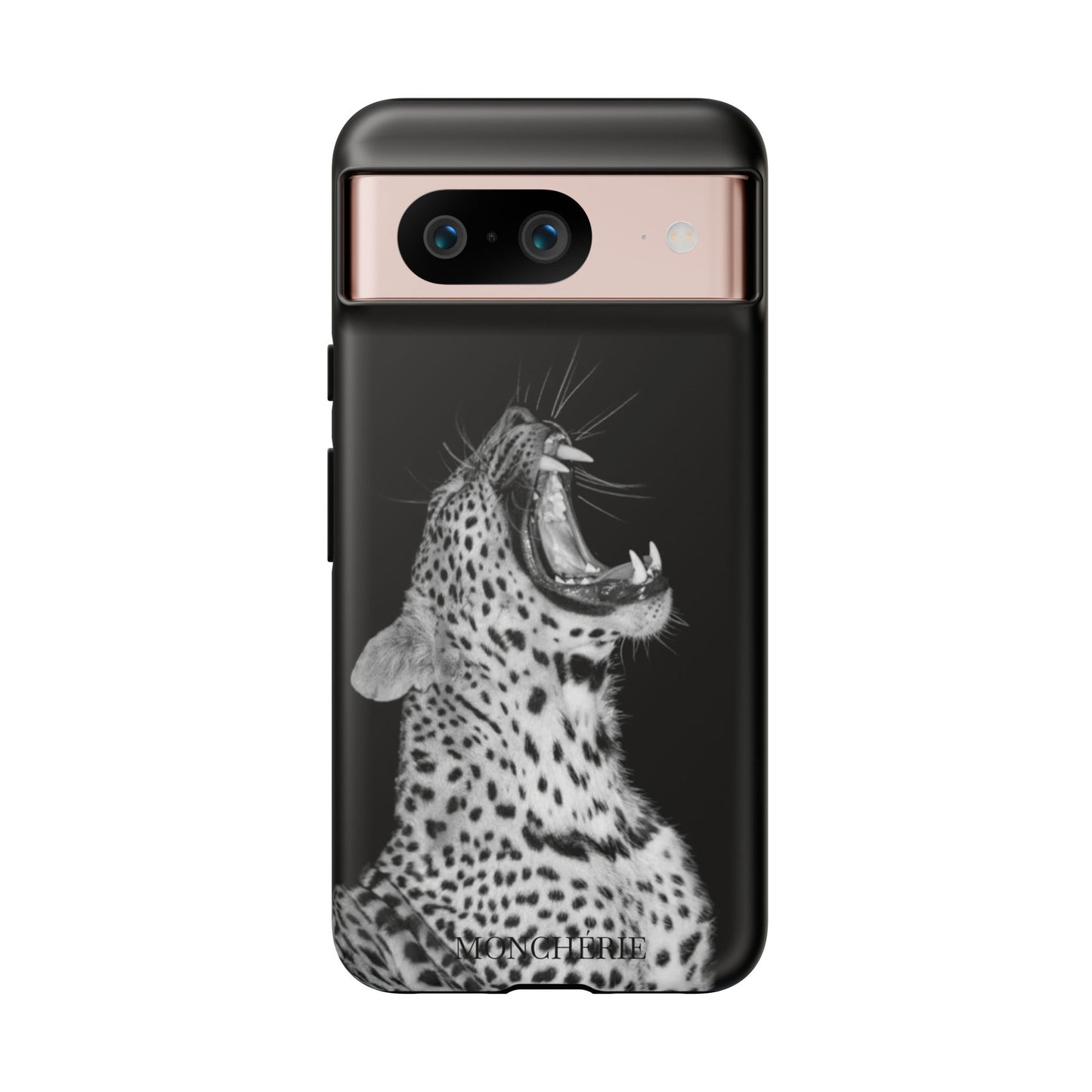 A icons case