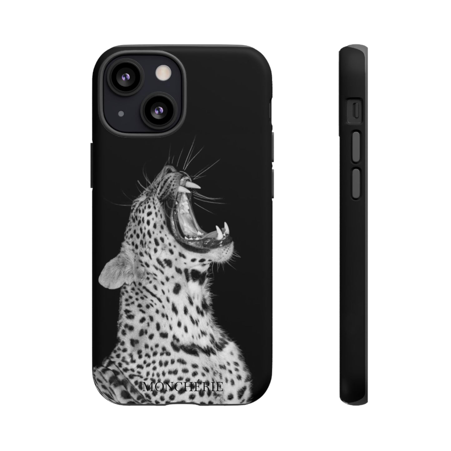A icons case