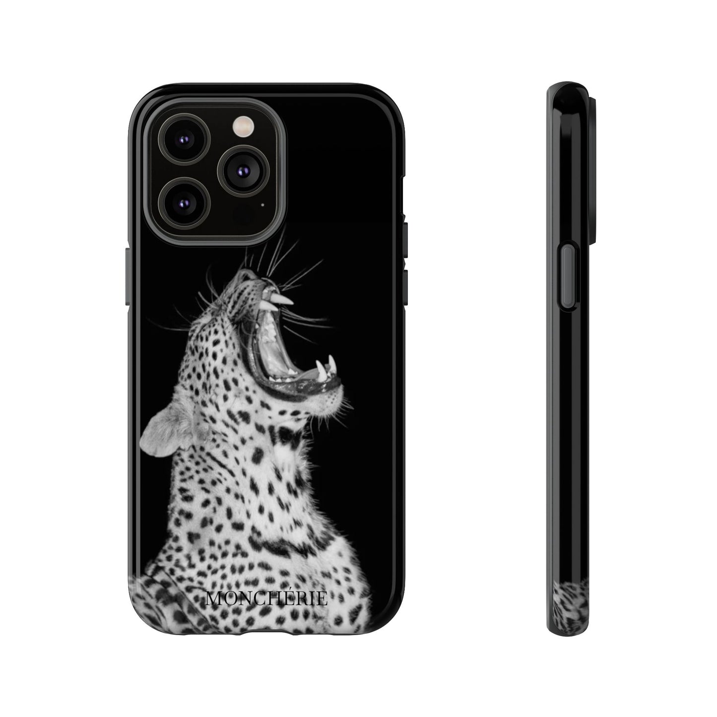 A icons case