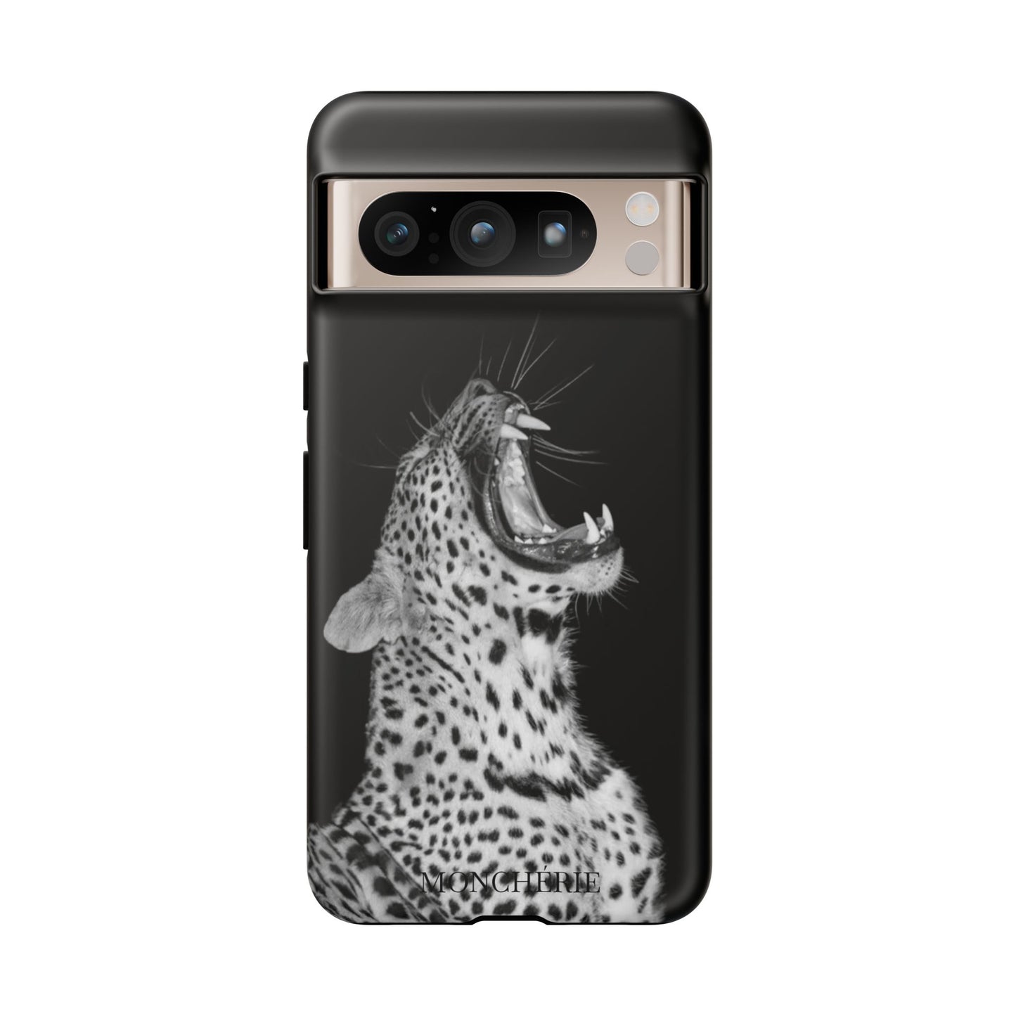 A icons case