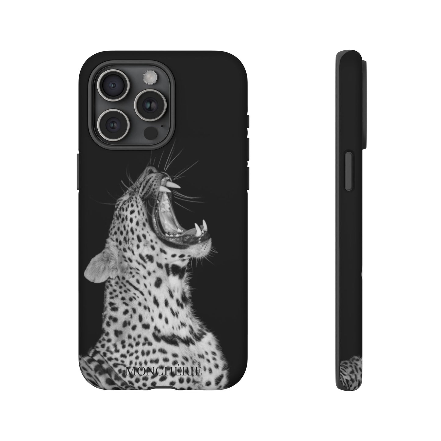 A icons case