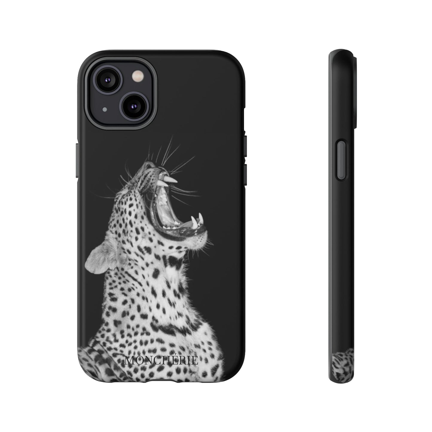 A icons case