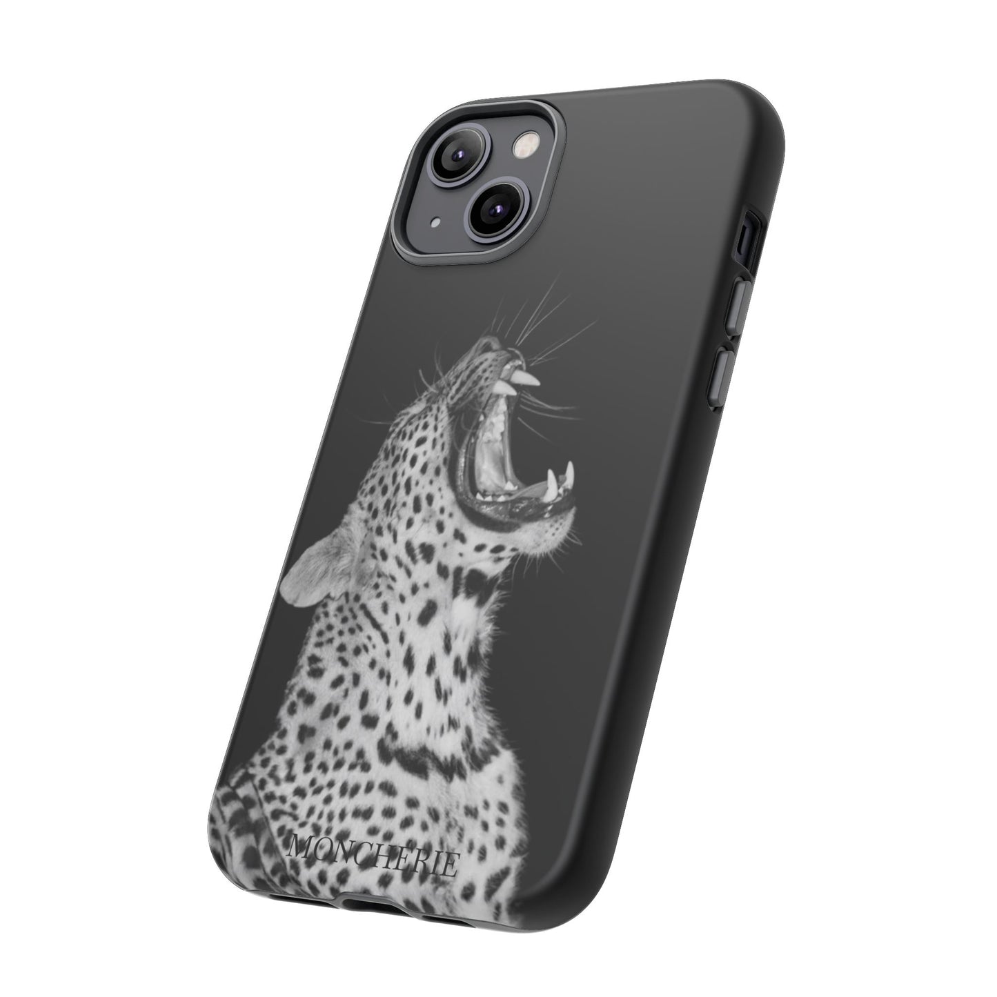 A icons case
