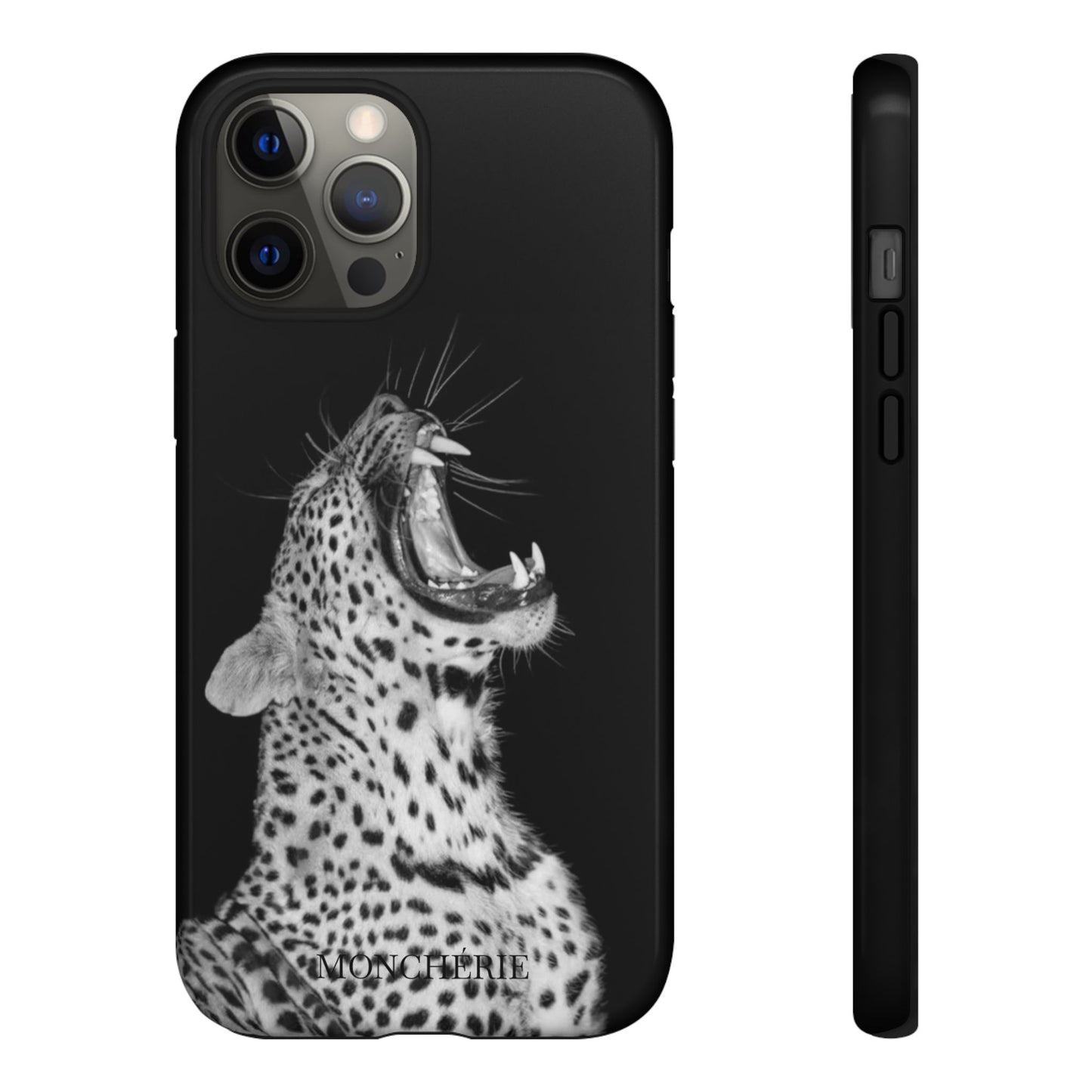 A icons case