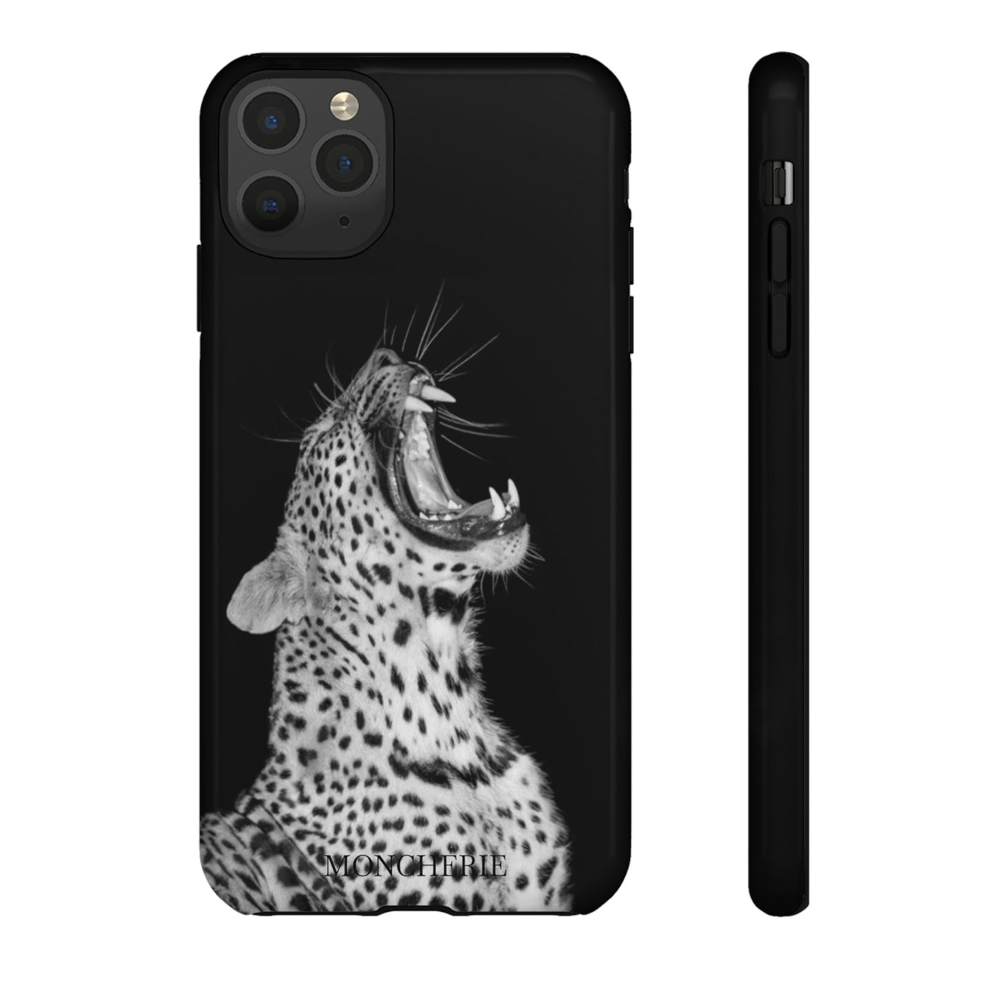 A icons case