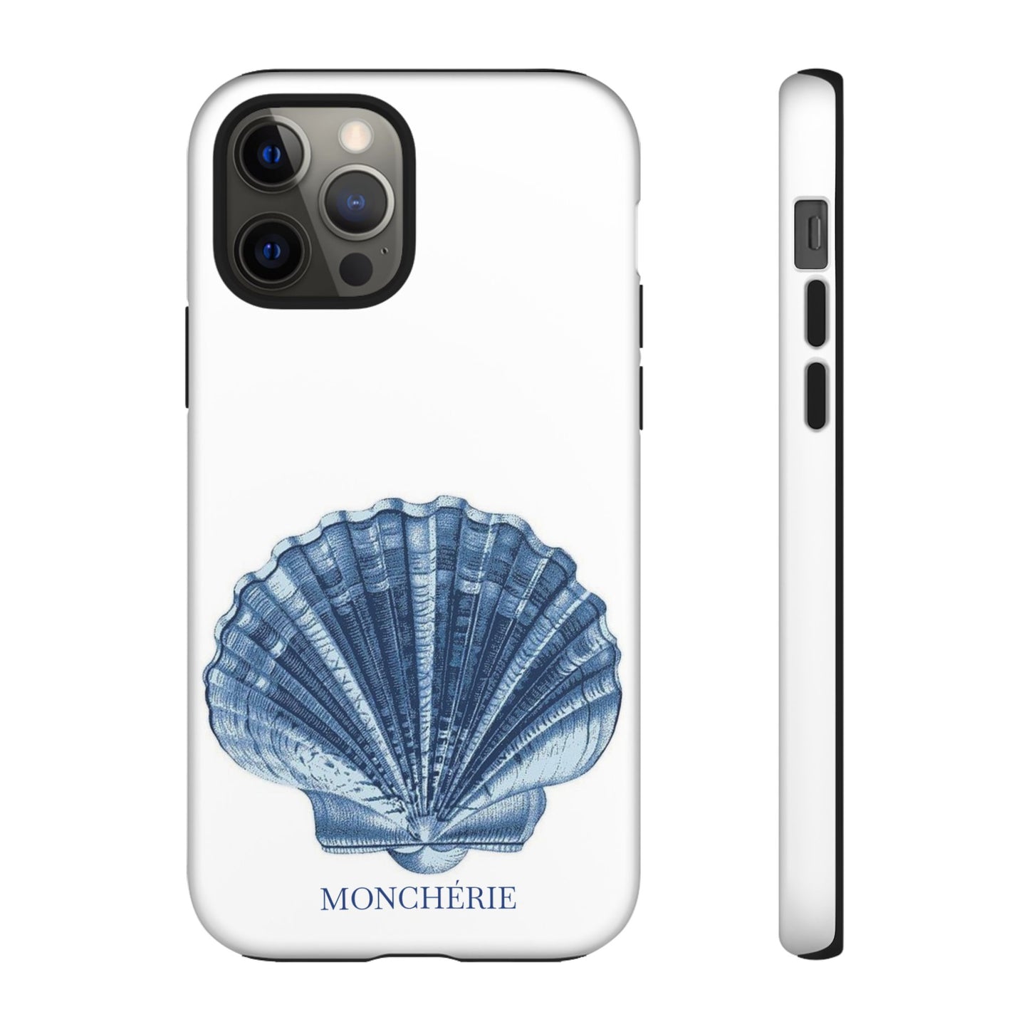 Sea Shell