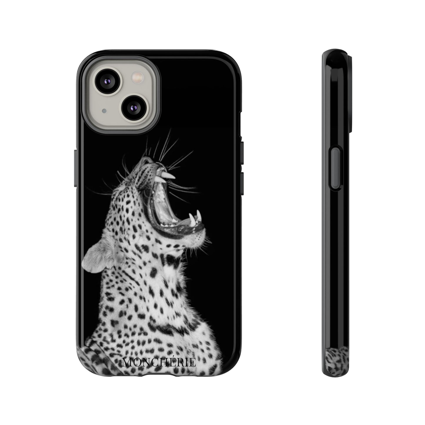 A icons case