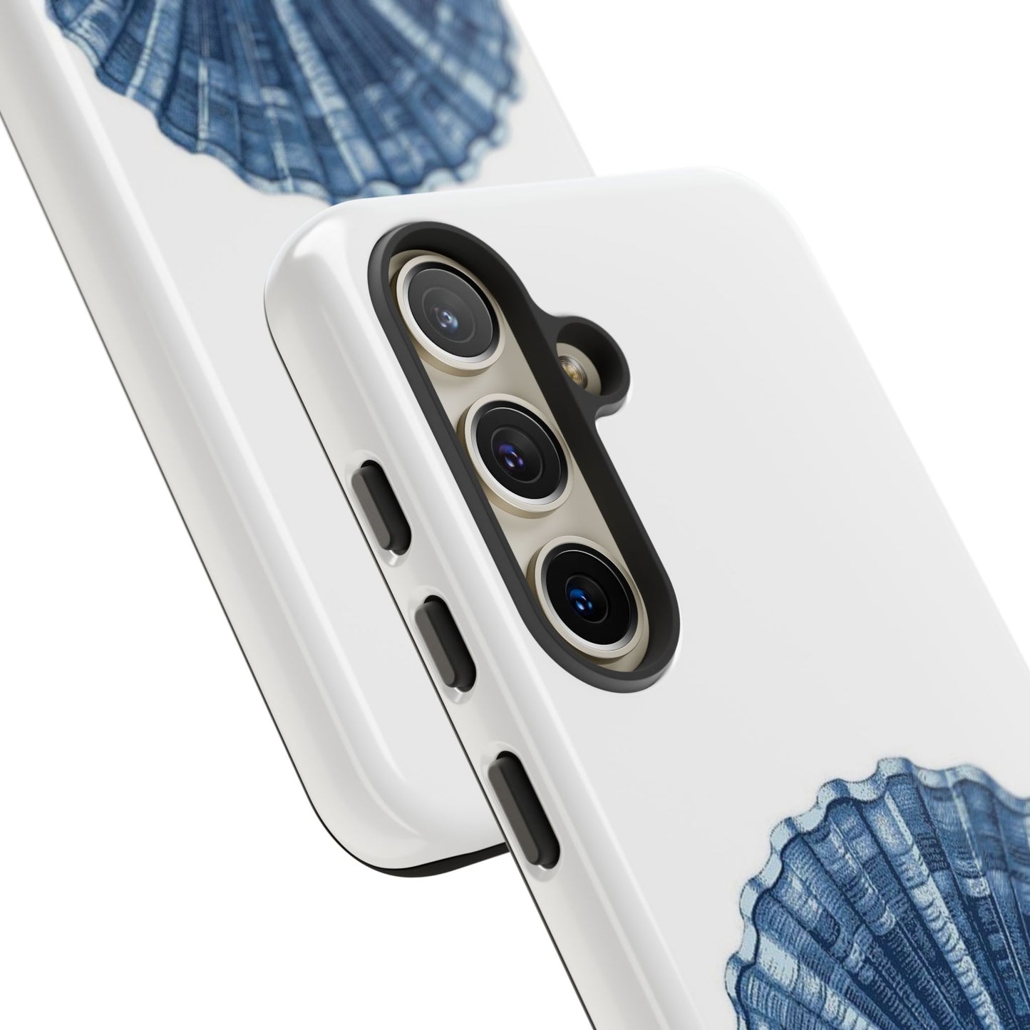 Sea Shell