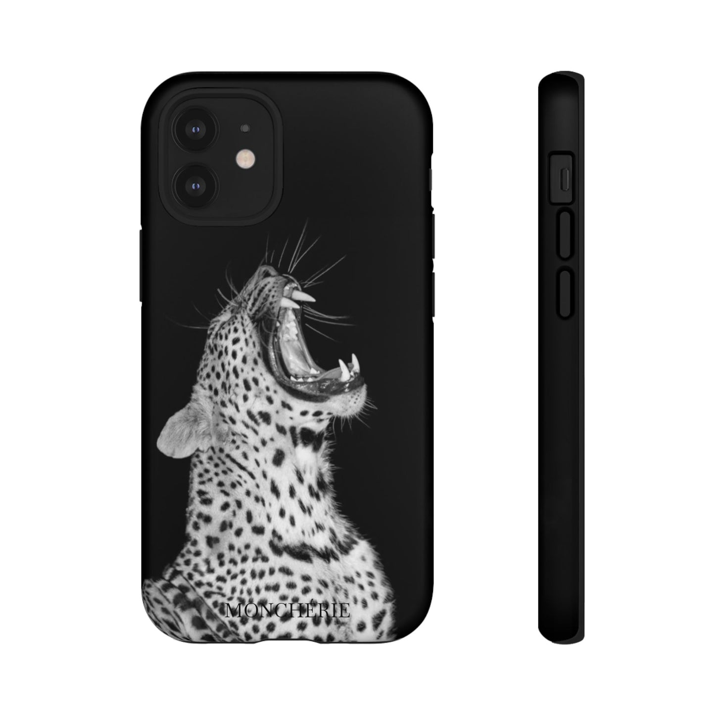 A icons case